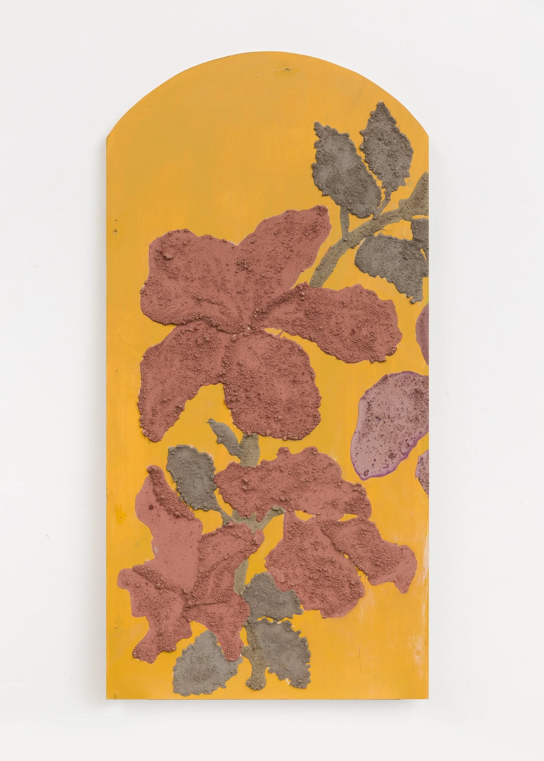 Untitled 04, 12 x24 in, Soil, Acrylic paint, Fabric dyes on Wood, 2023