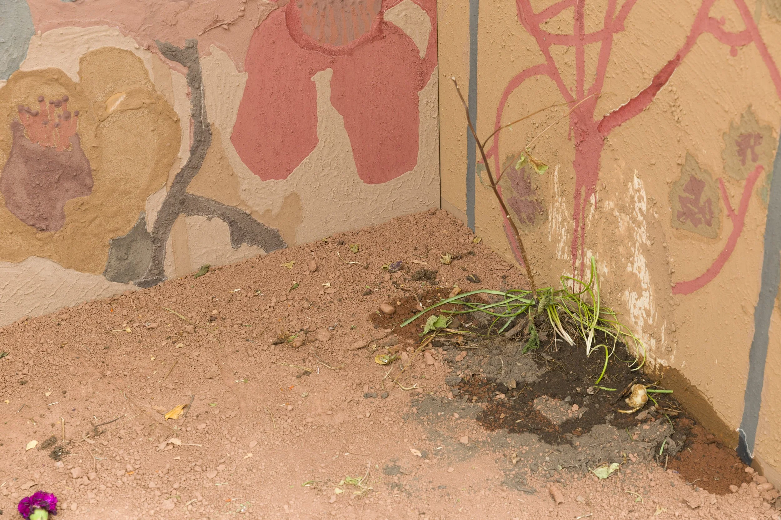 Yet Other’s Sprout from the Ground B (detail), 6 x 3ft, Soil, Wood, Plants, 2024