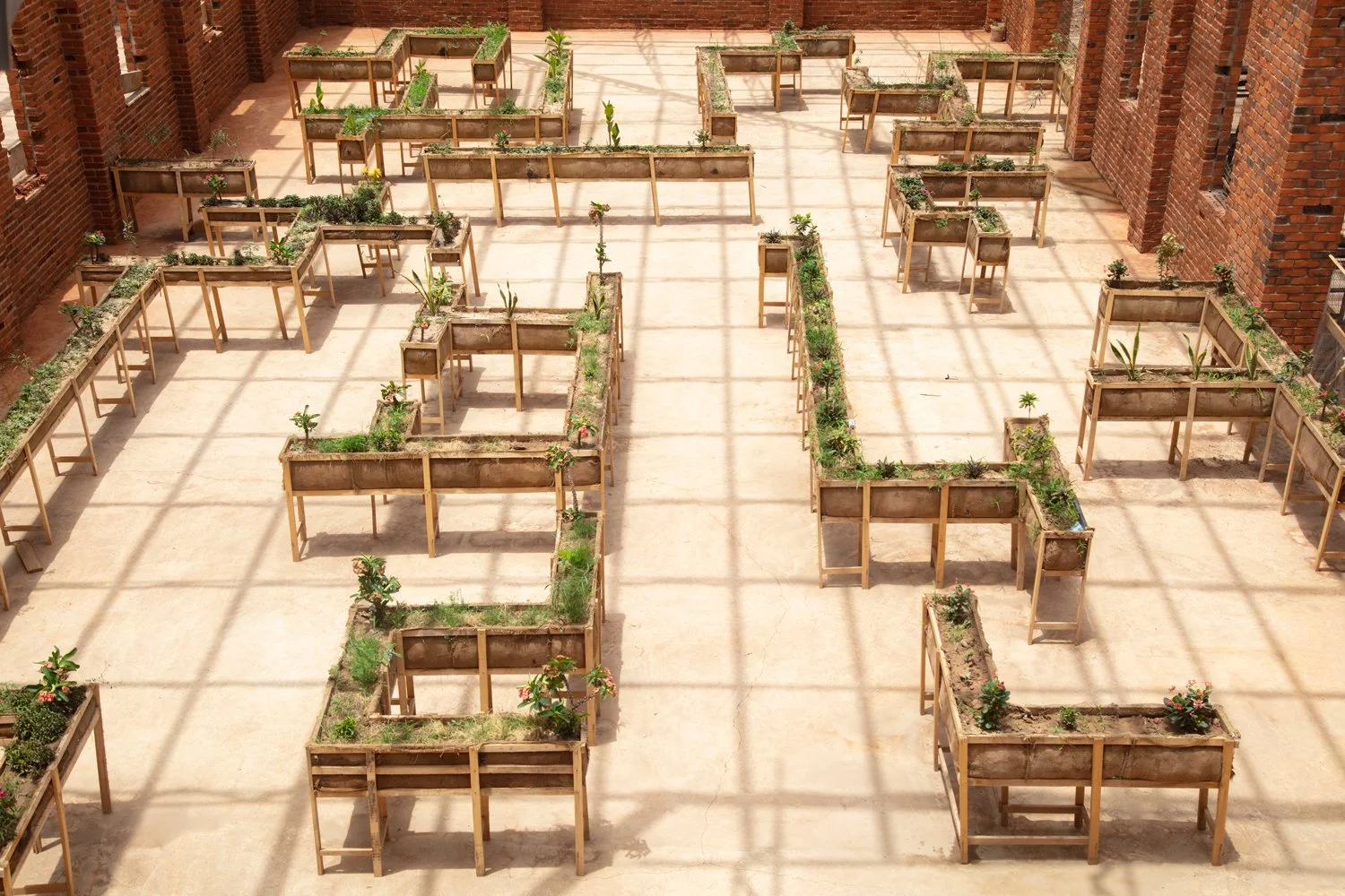 Cul-de-sac (detail), Varied dimensions, Varied Flowers, soil, burlap, wood, 2022