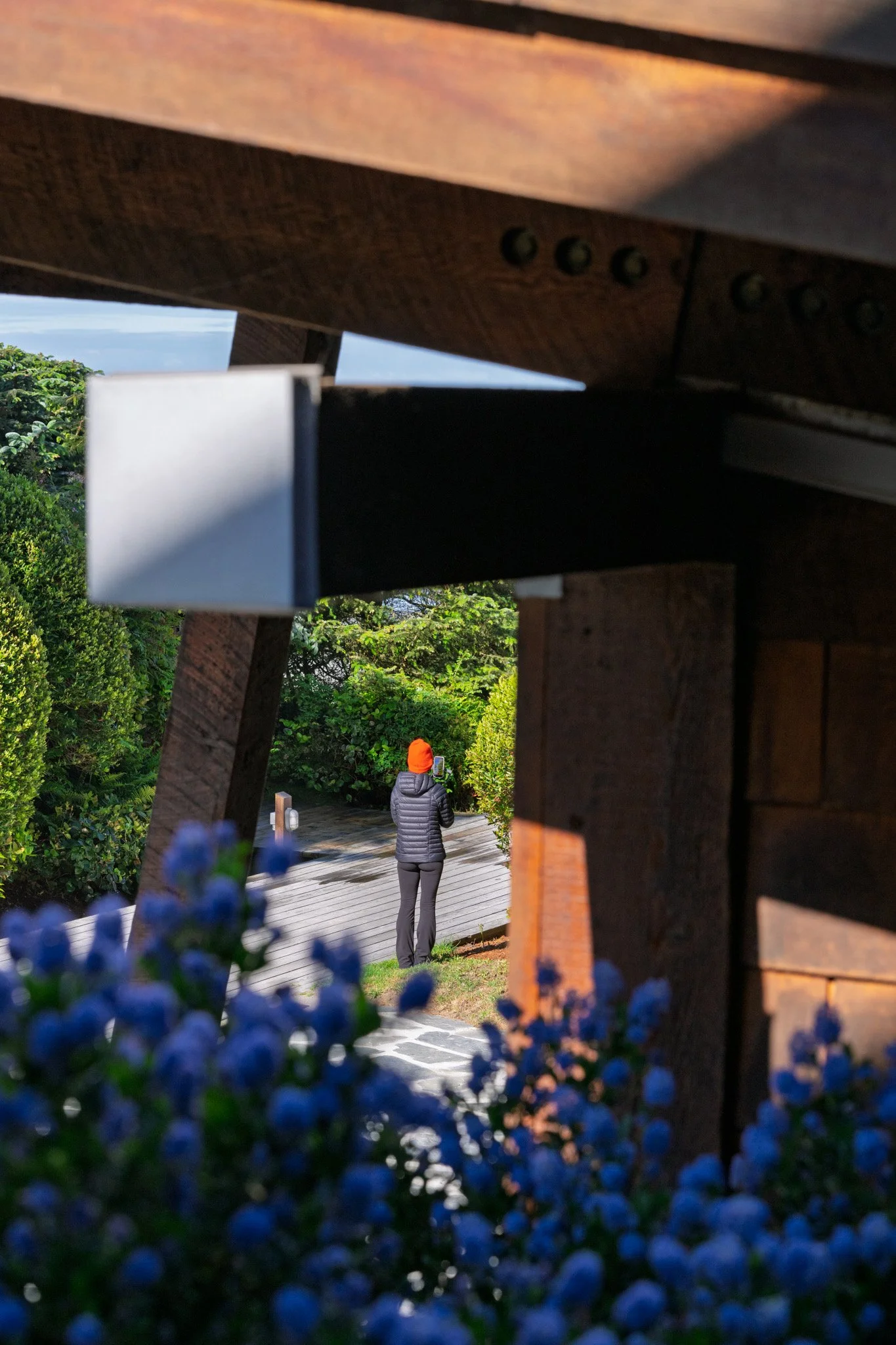 A person standing on a pathway surrounded by greenery, seen through a gap in a wooden structure with blue flowers in the foreground.