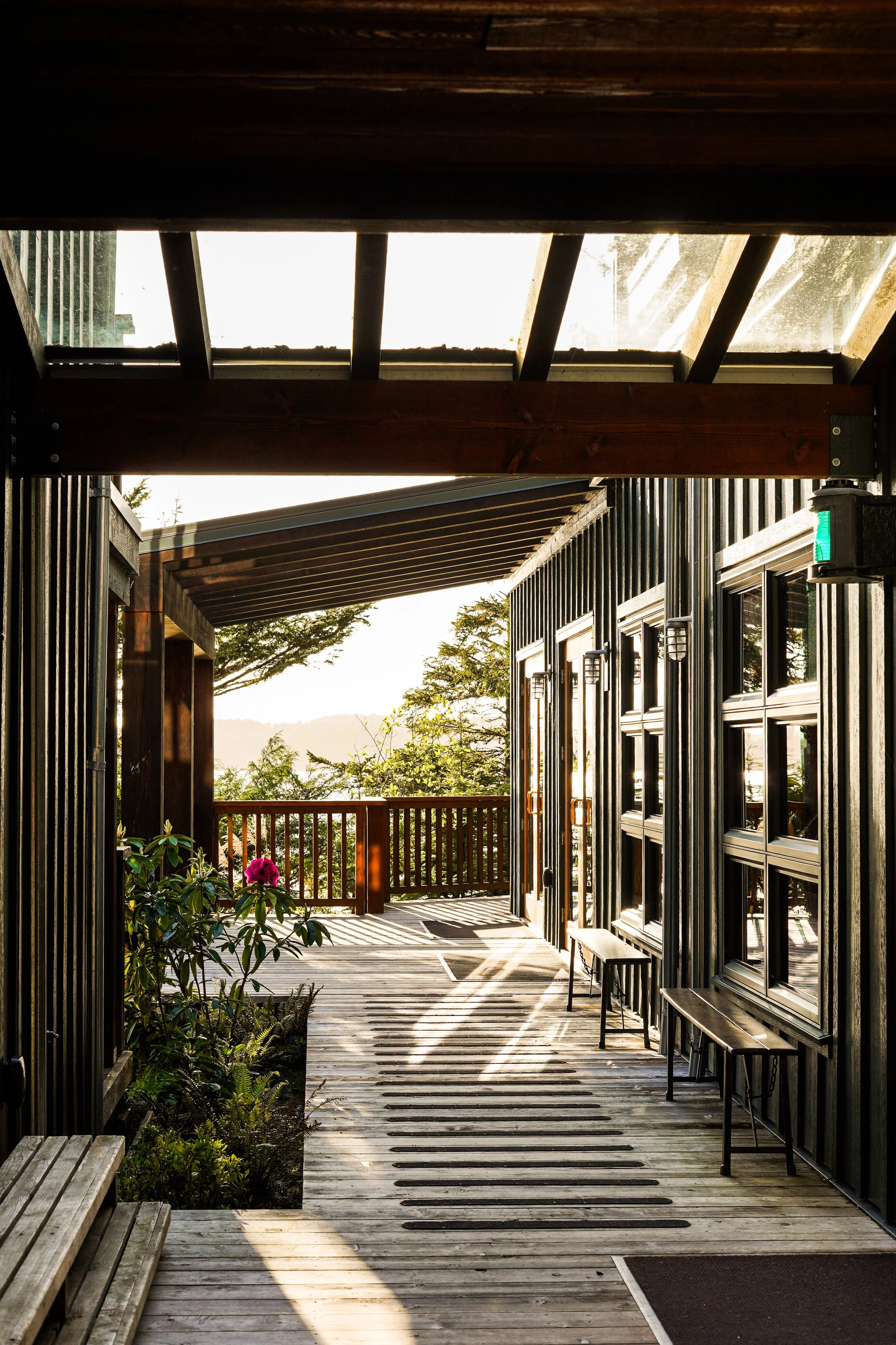 Wooden deck area with benches, plants, and a railing, leading to a view with trees and mountains in the distance, under a sky with sunlight and shadows.