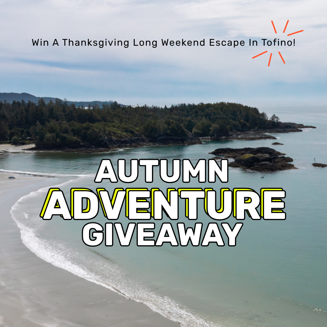 Case Study: Autumn Adventure Giveaway