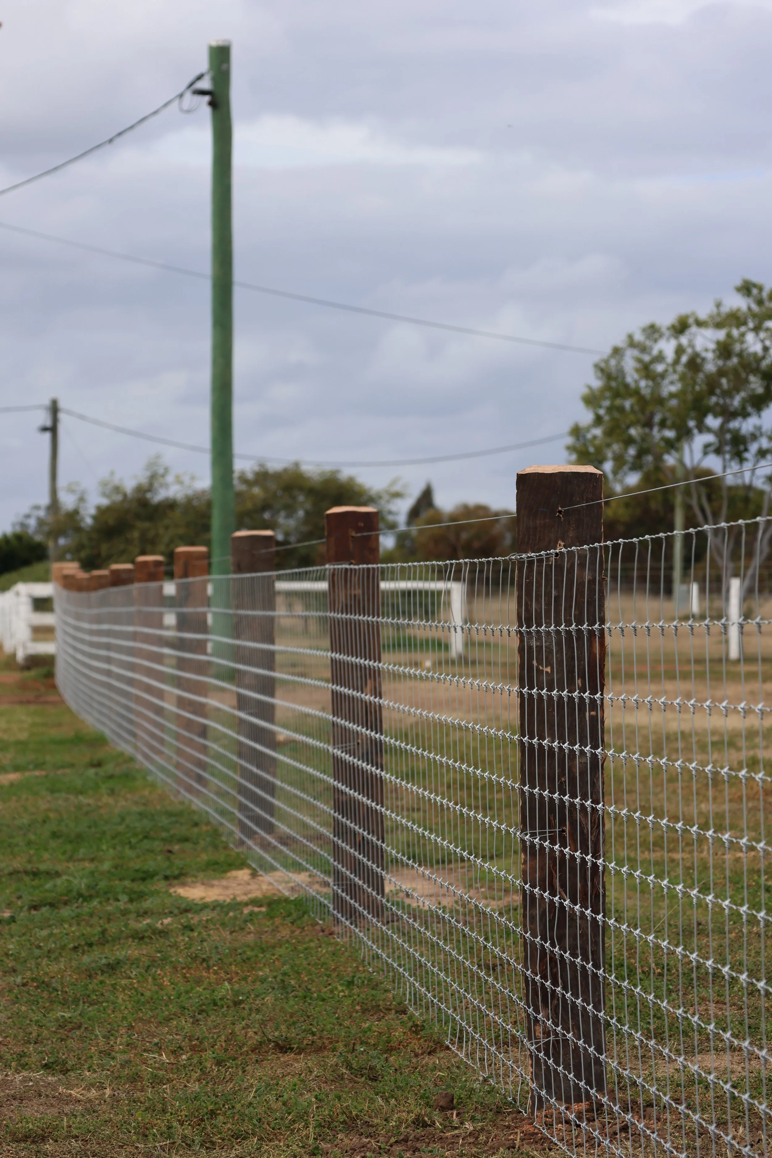 A wooden post and wire fence 