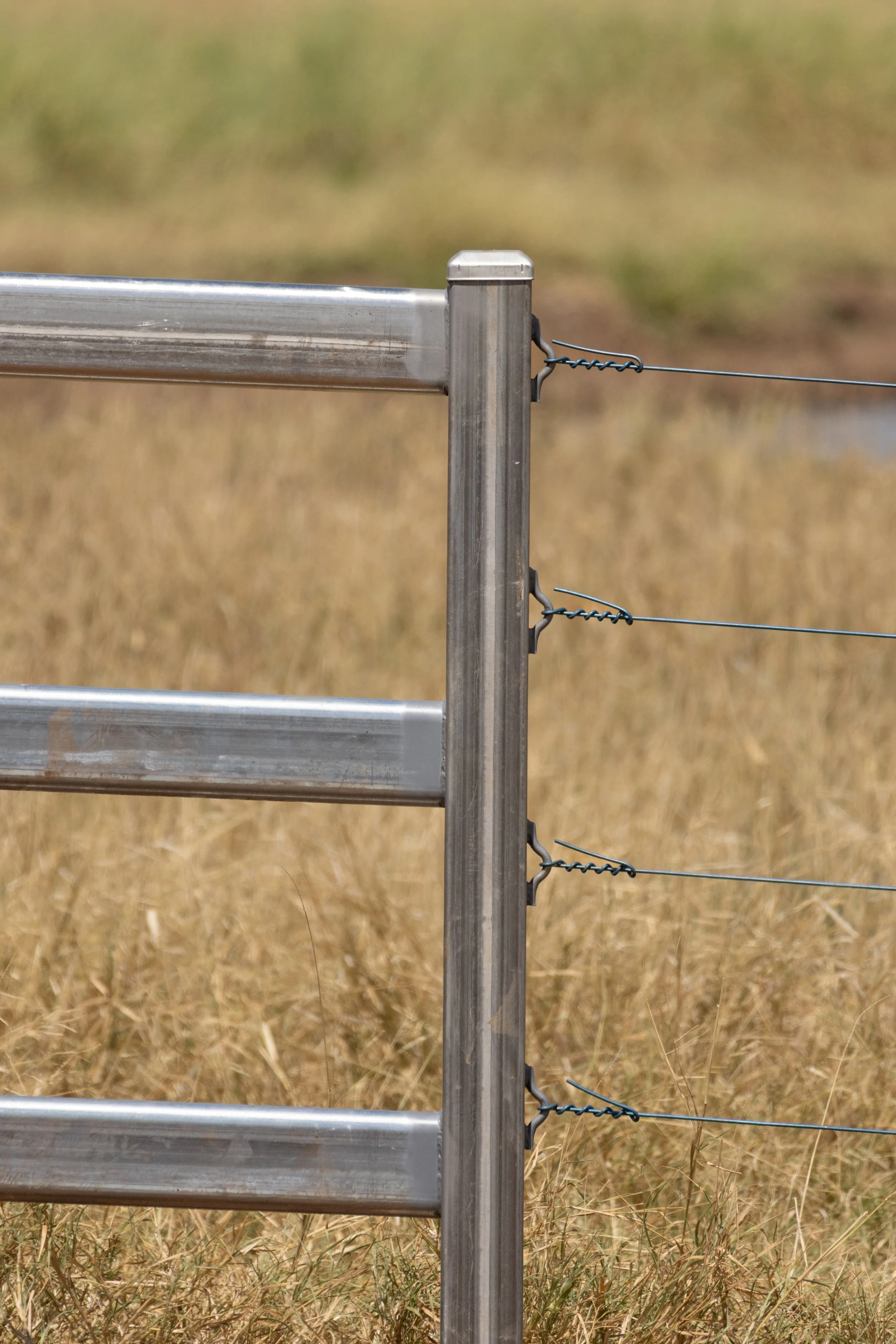 Steel post fencing installation in the Western Downs