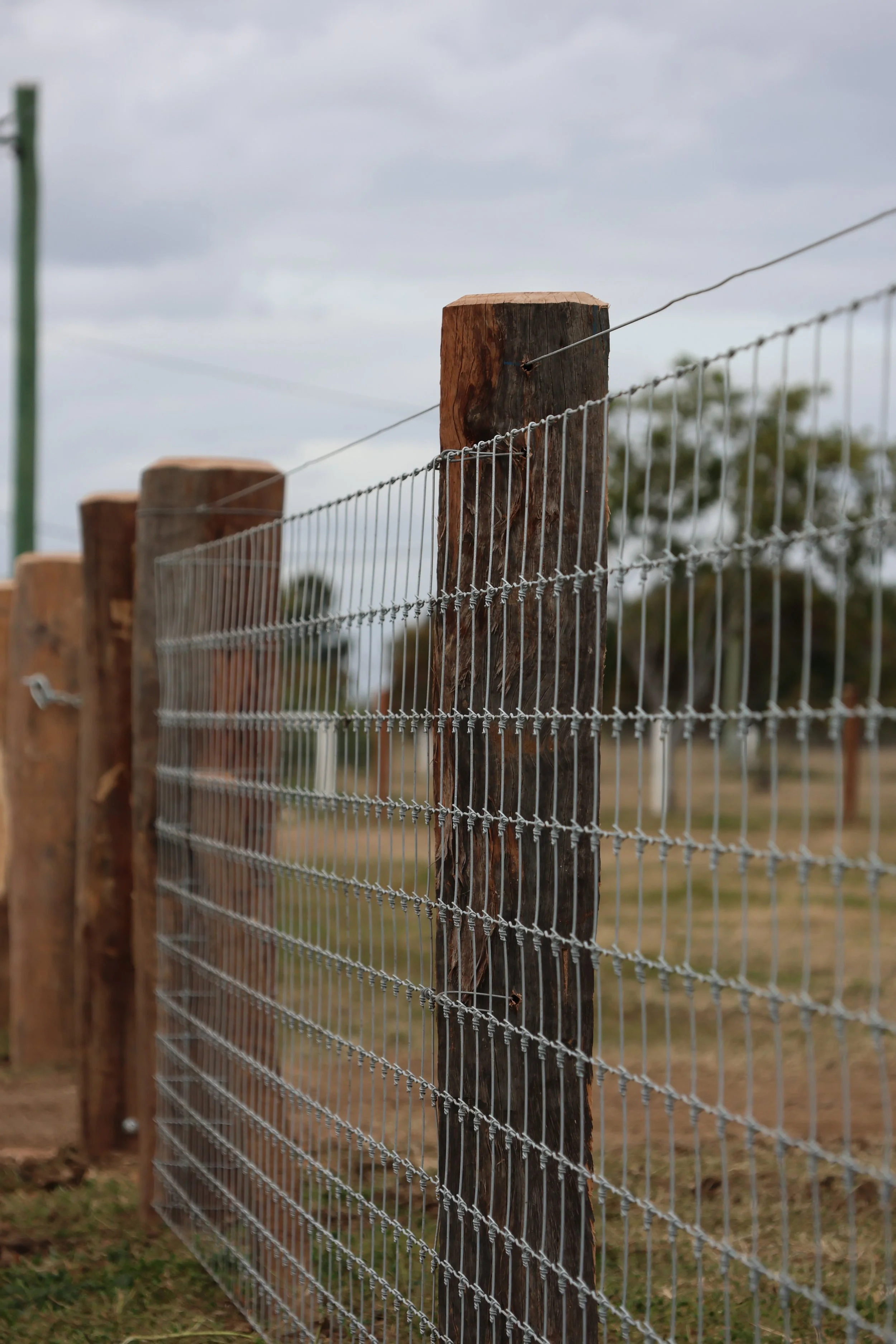 Close-up of wooden fence posts and wire mesh fence