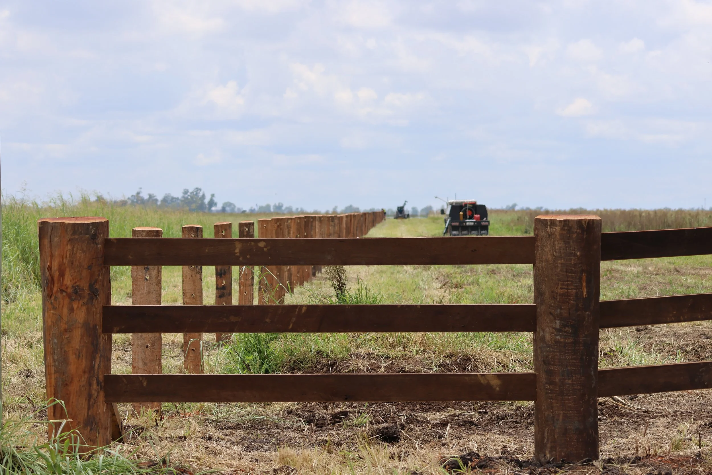 Timber rural fence installation completed near Dalby