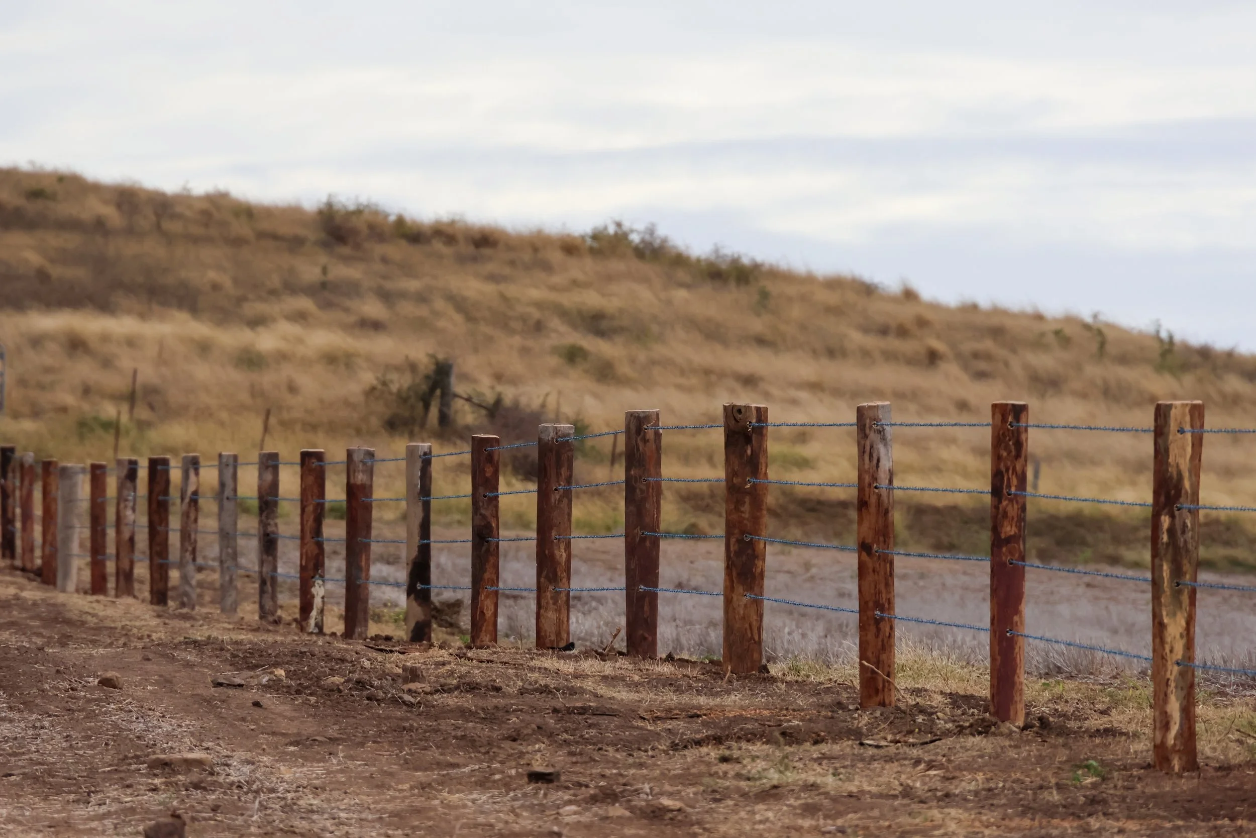 Fencing