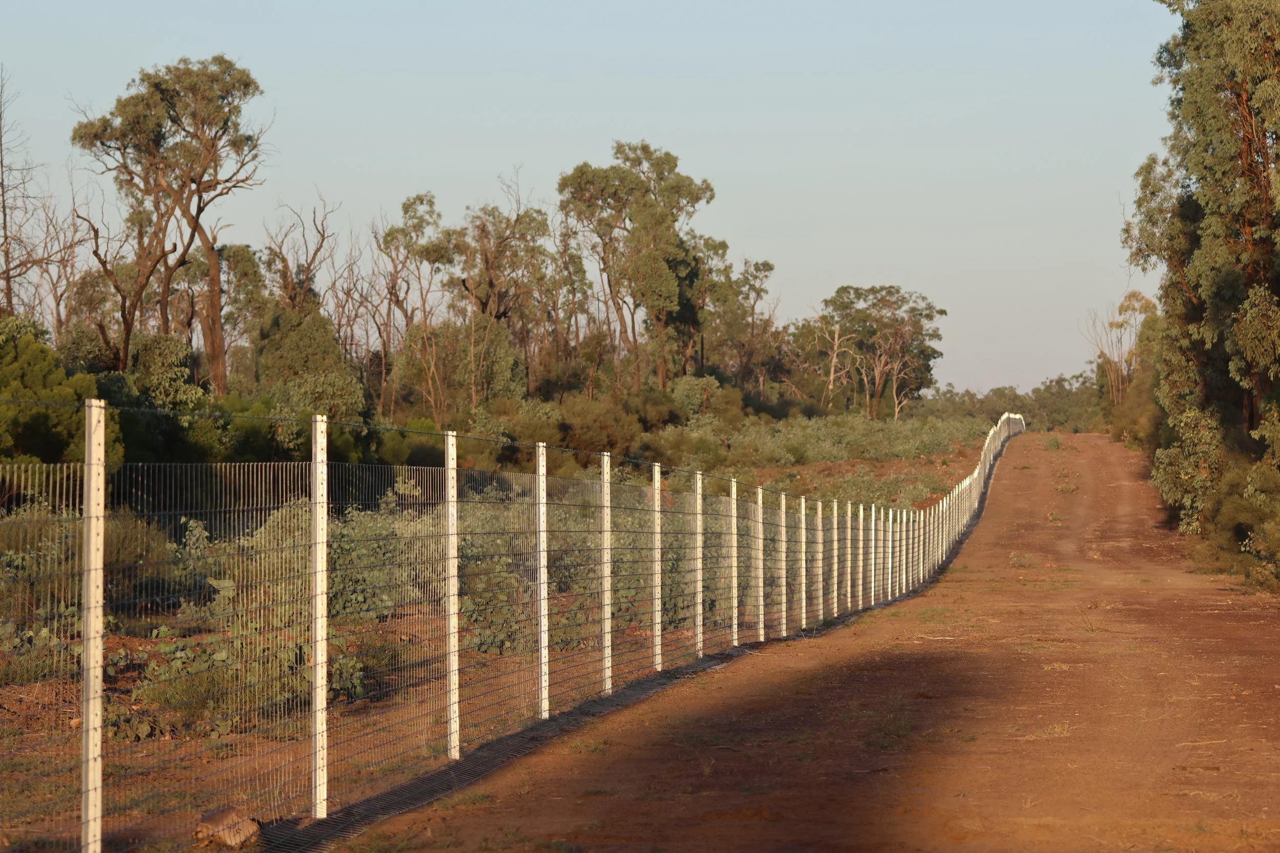 New boundary fence installed near Dalby