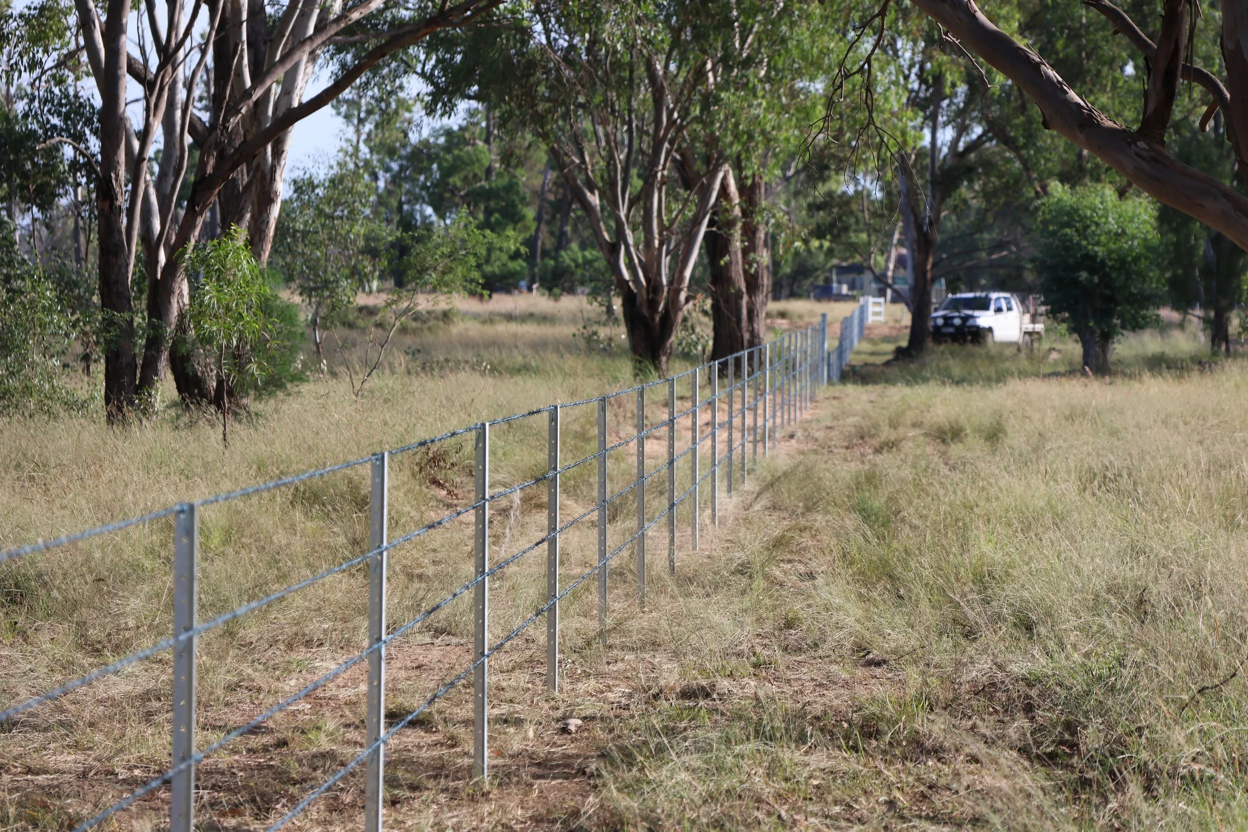 A  metal fence installation on a rural property near Dalby