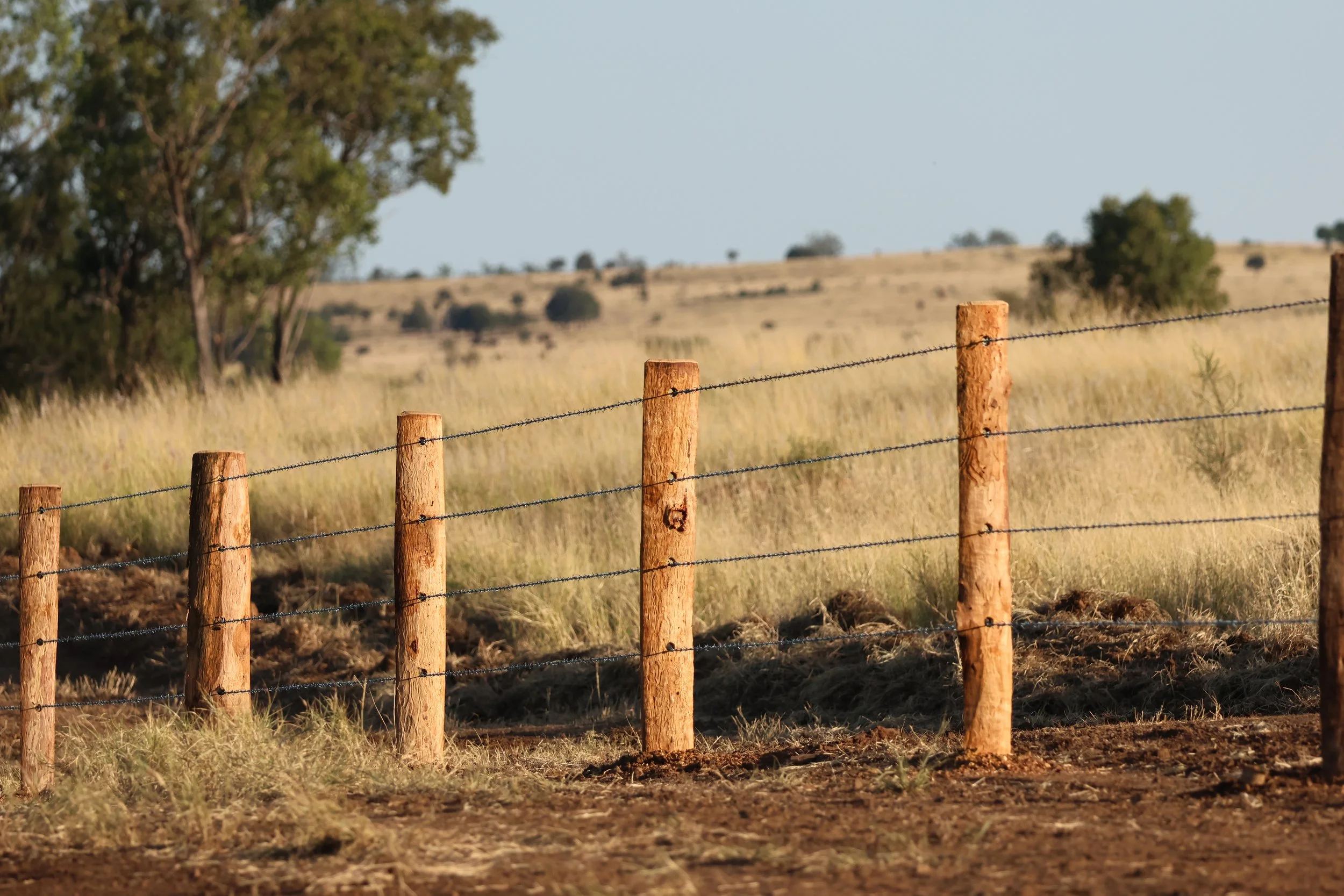 Barb wire fencing project by G8K Rural Co