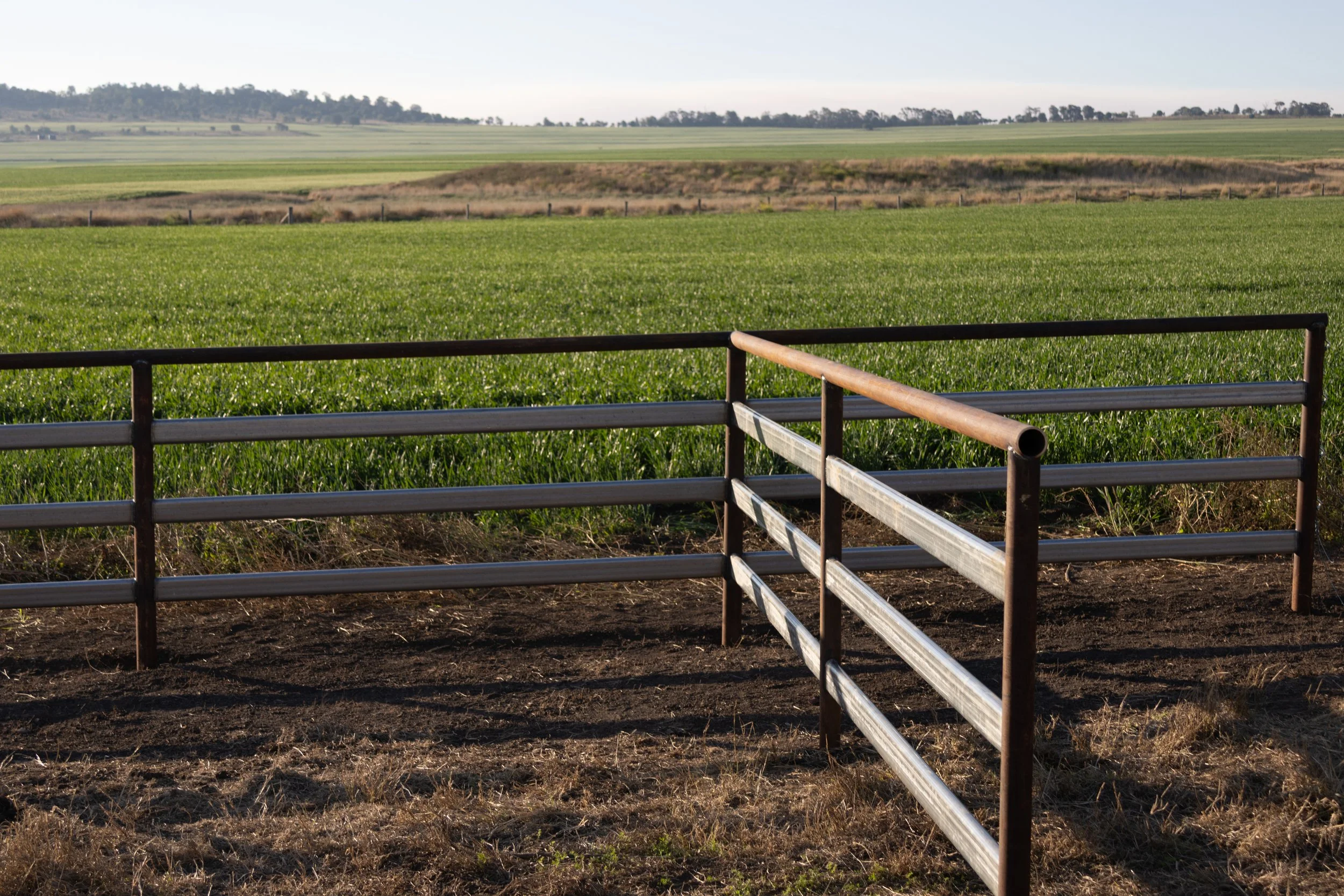 Rural steel fencing completed near Dalby