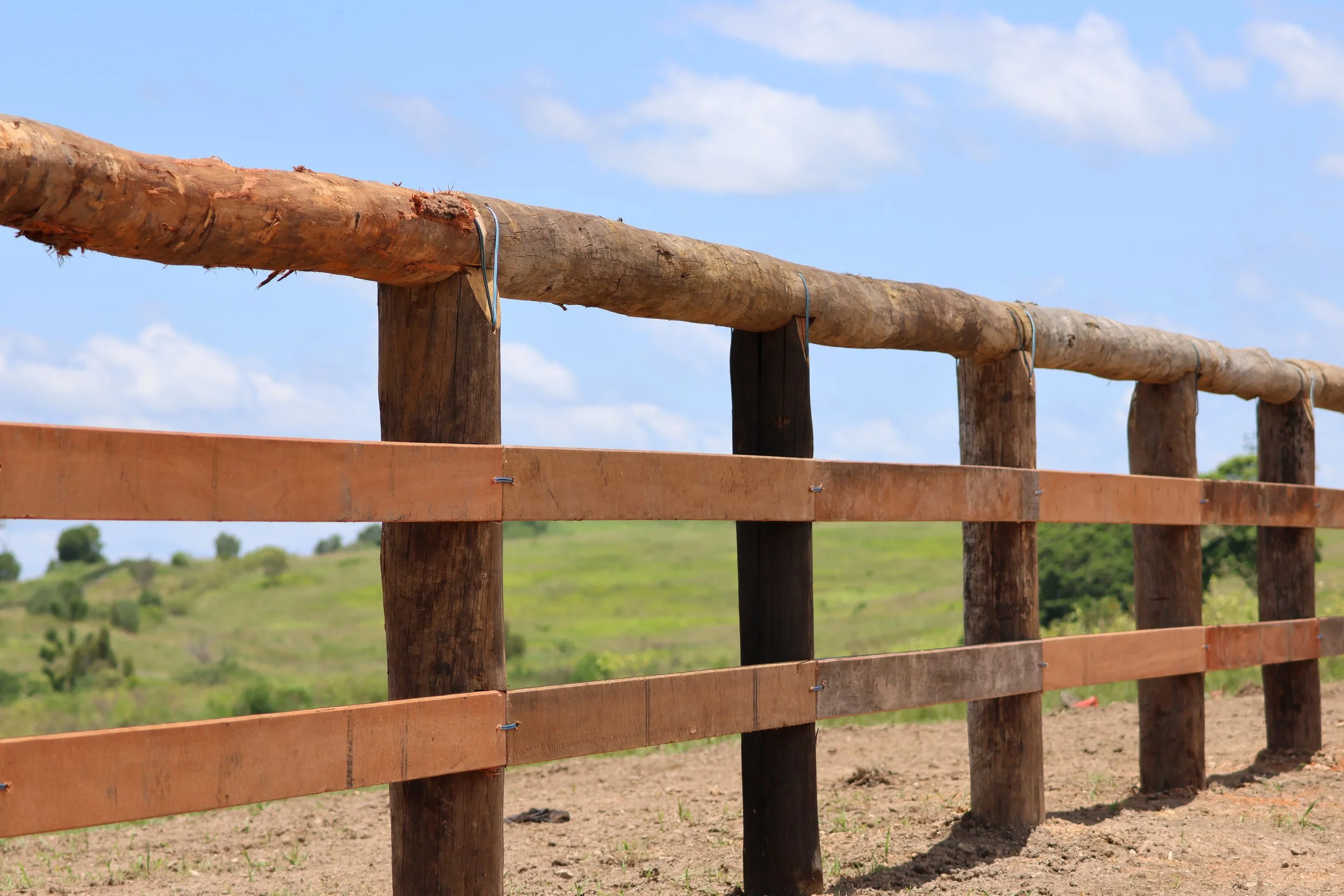 Close-up of a New fence installed on a rural property in the Western Downs