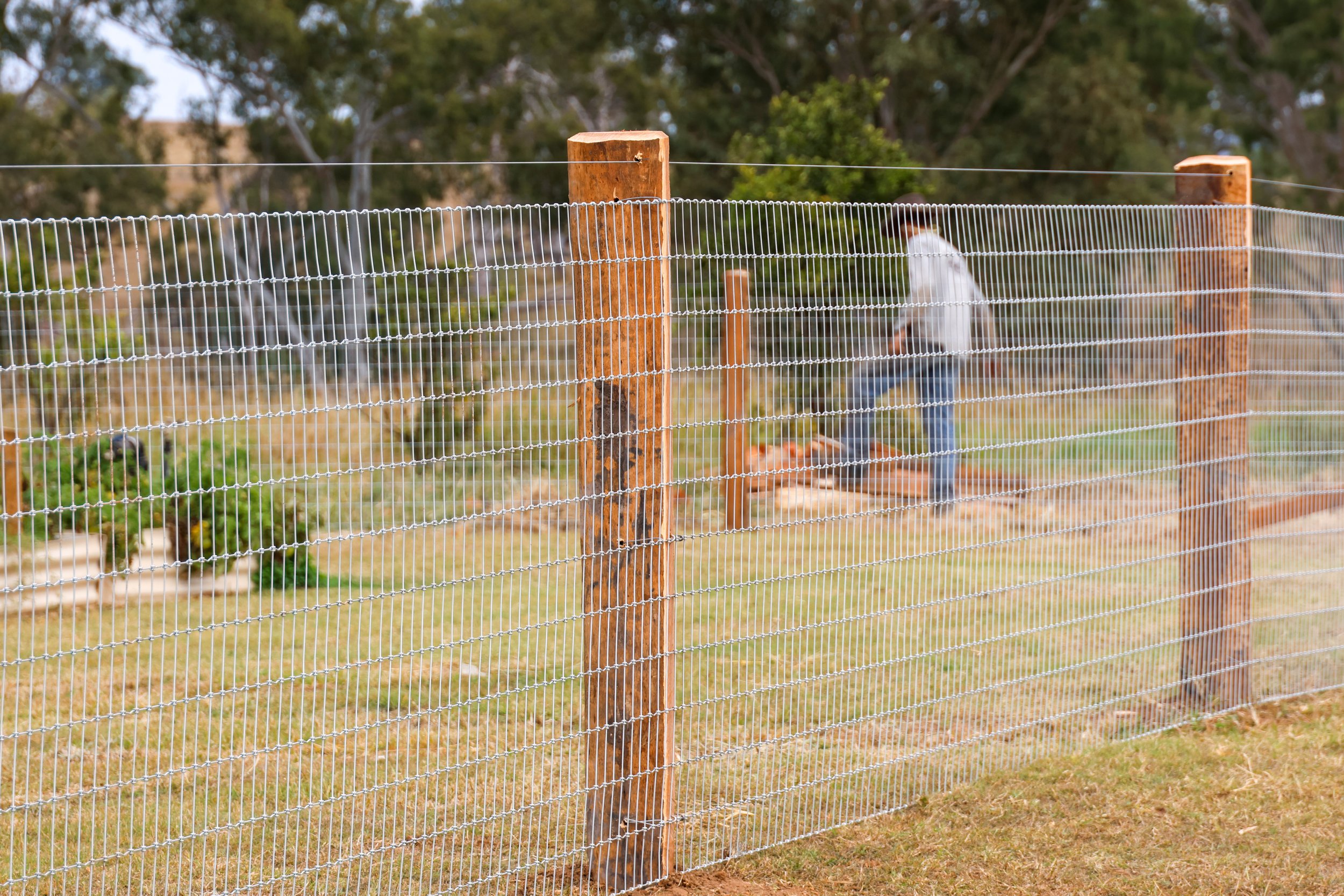 A wooden post and wire fencing installation on a rural property near Dalby
