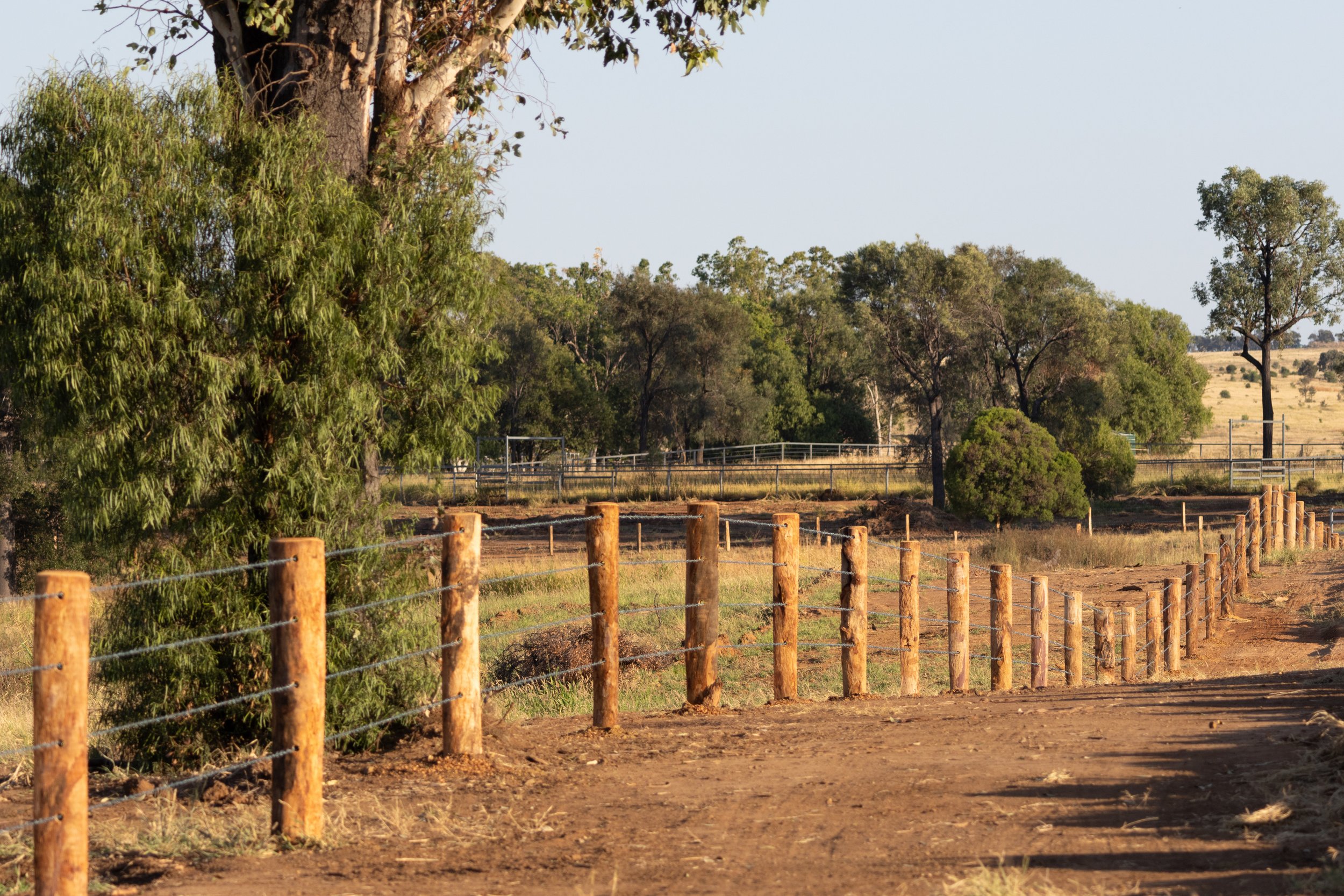 Barb wire fence installation on a rural property near Dalby
