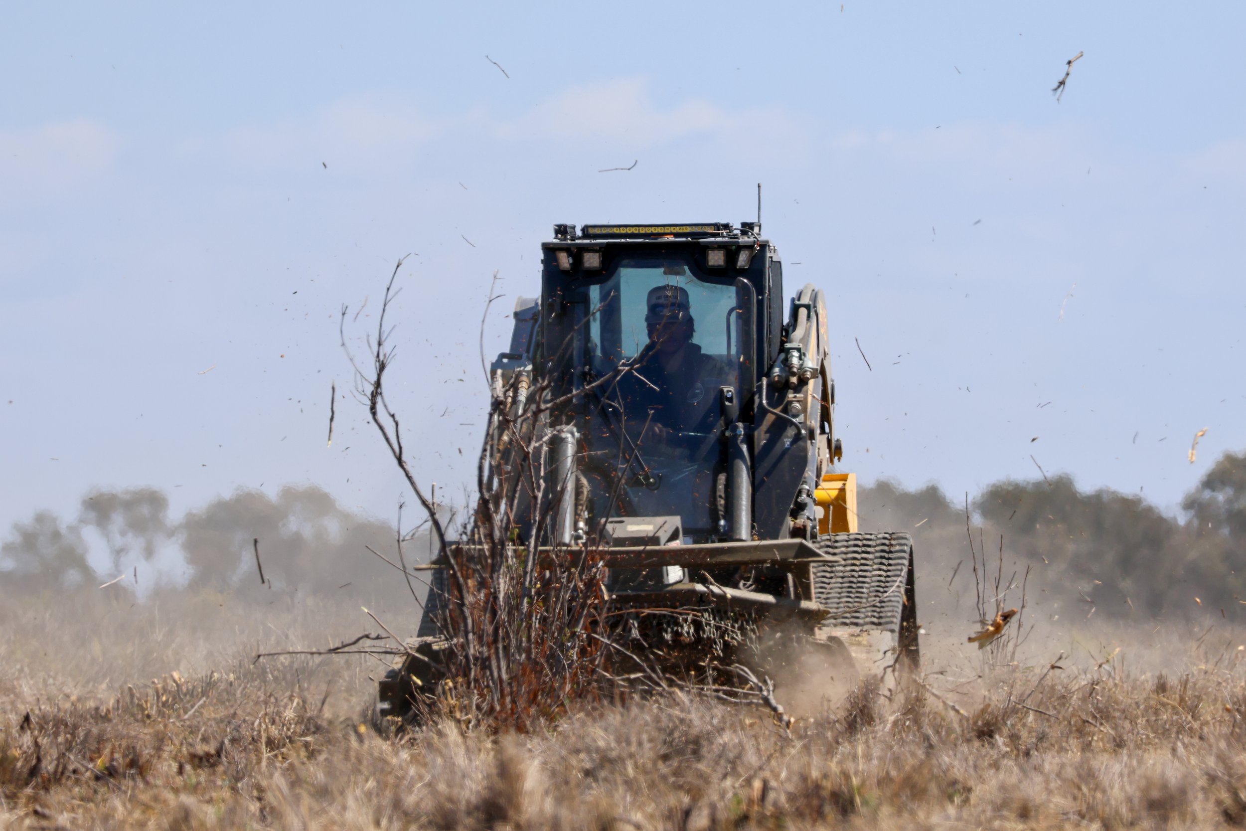 Slashing & Mulching