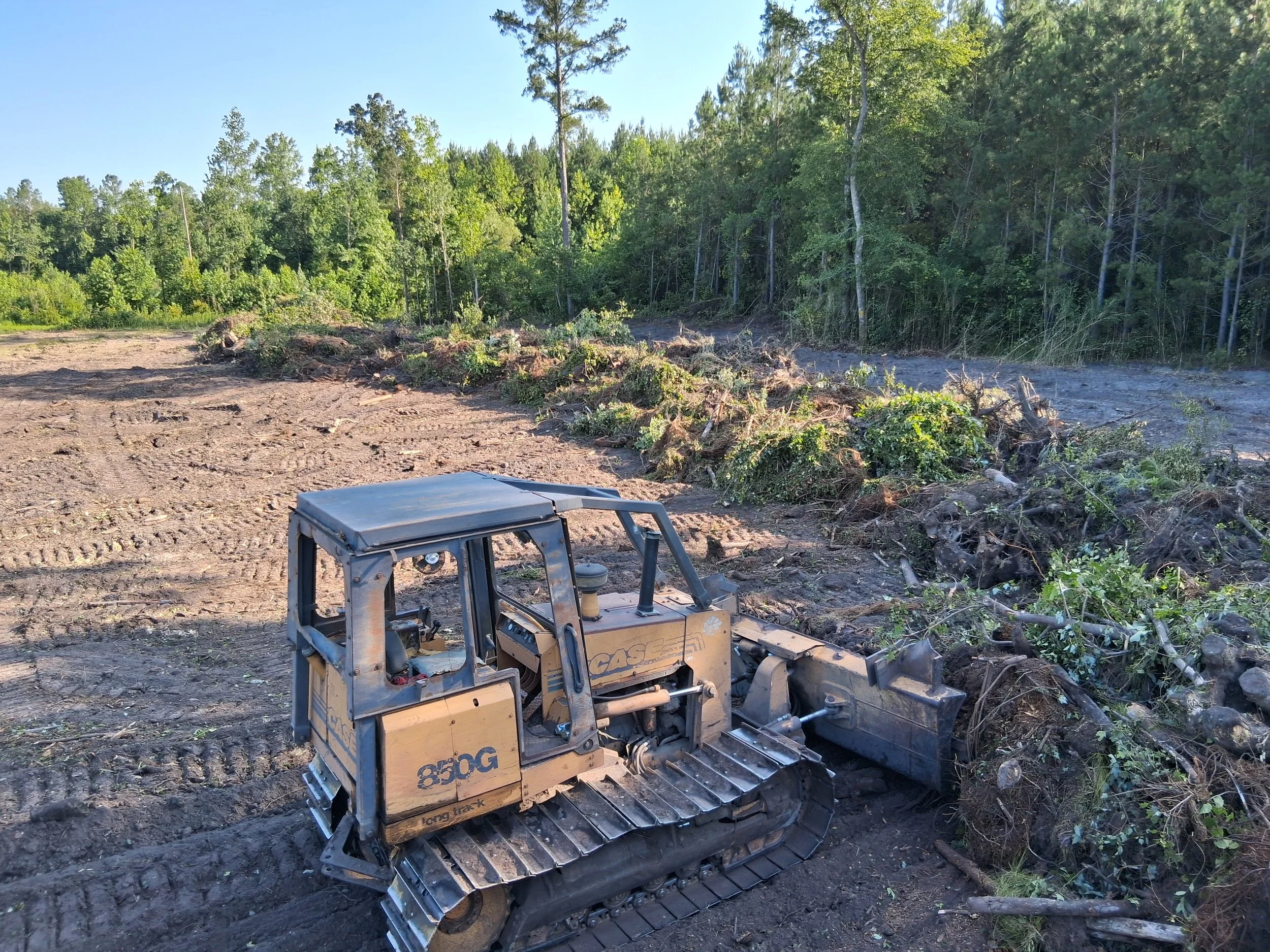 A bulldozer on a dirt trail in a forest clearing, with uprooted bushes and trees nearby, and green trees in the background under a clear blue sky.