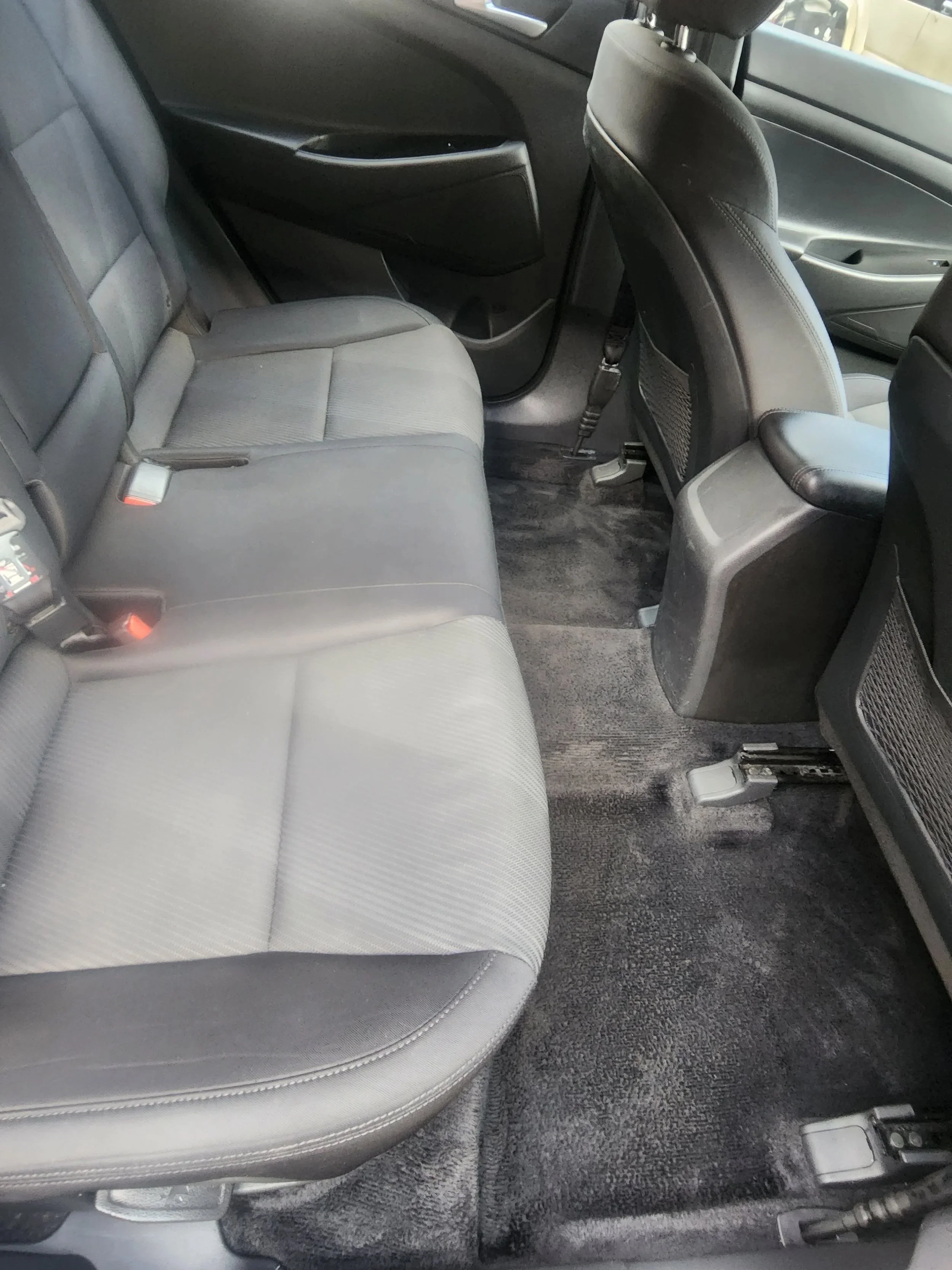 After: the same back seat and carpet, vacuumed and extracted.