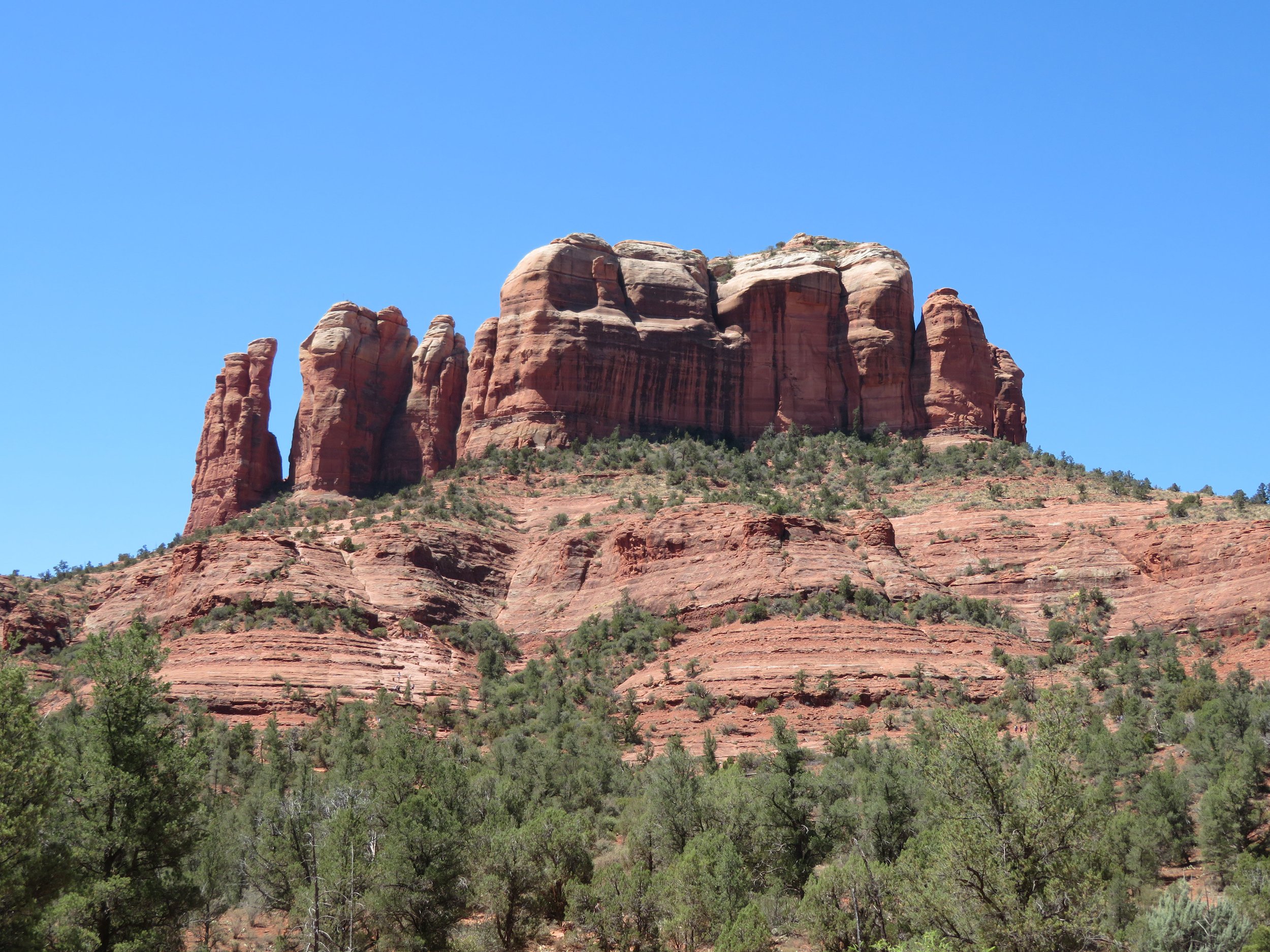Vaca-05.jpg