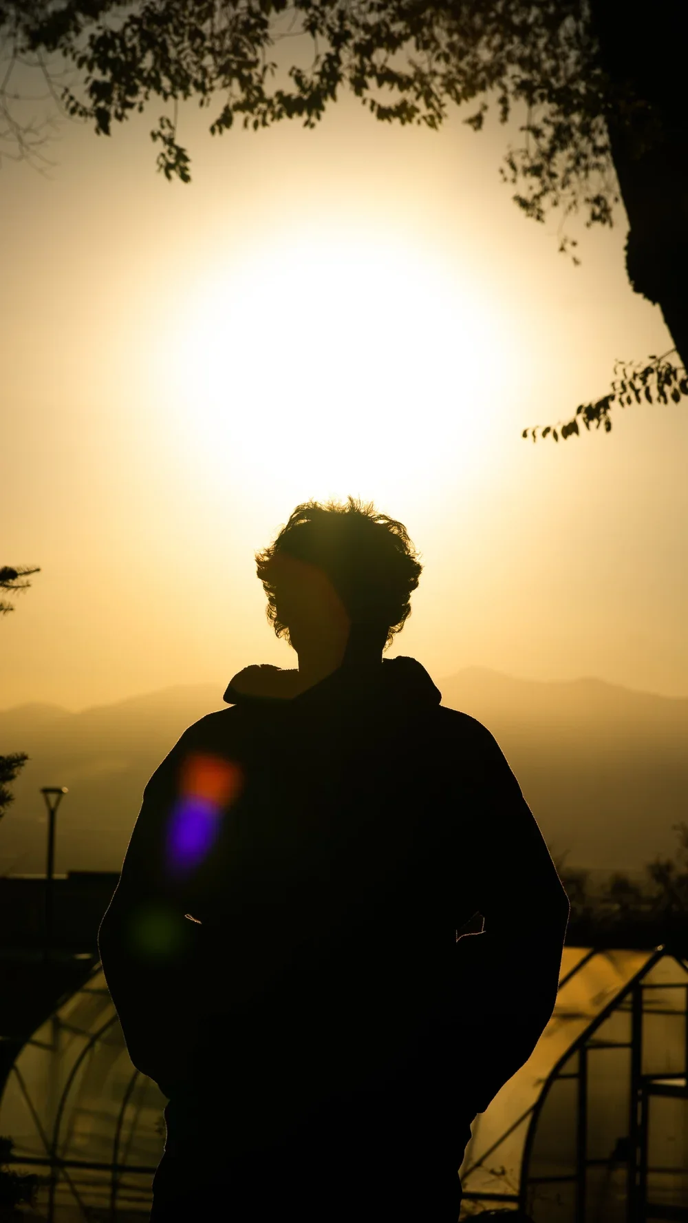 _DSC0138.webp
