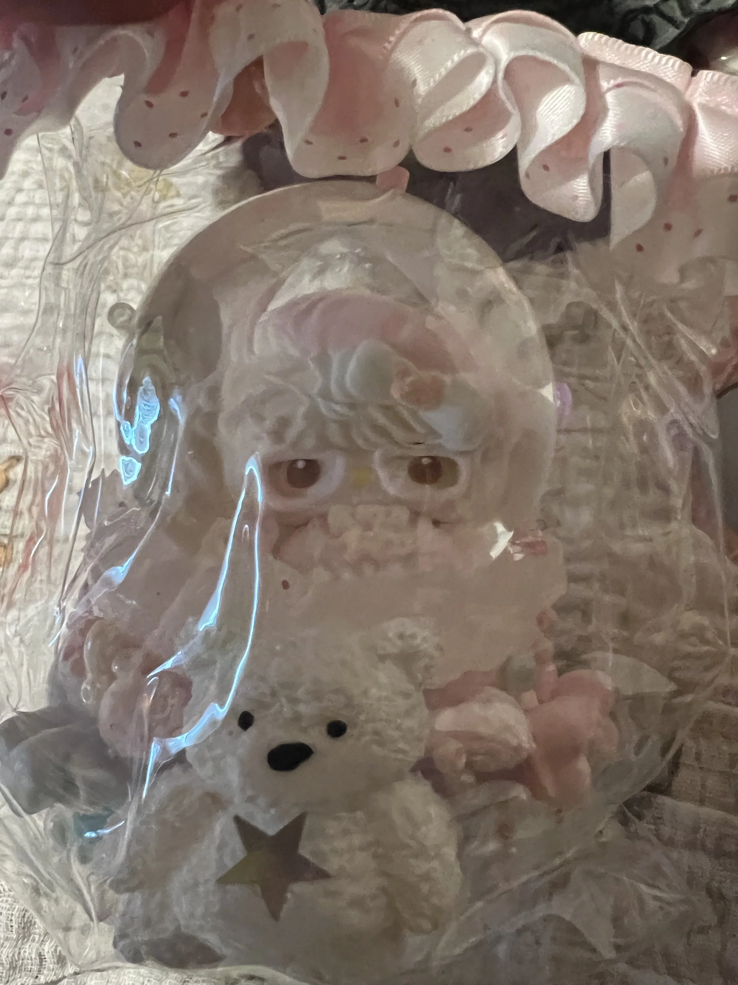 IMG_5700.jpeg