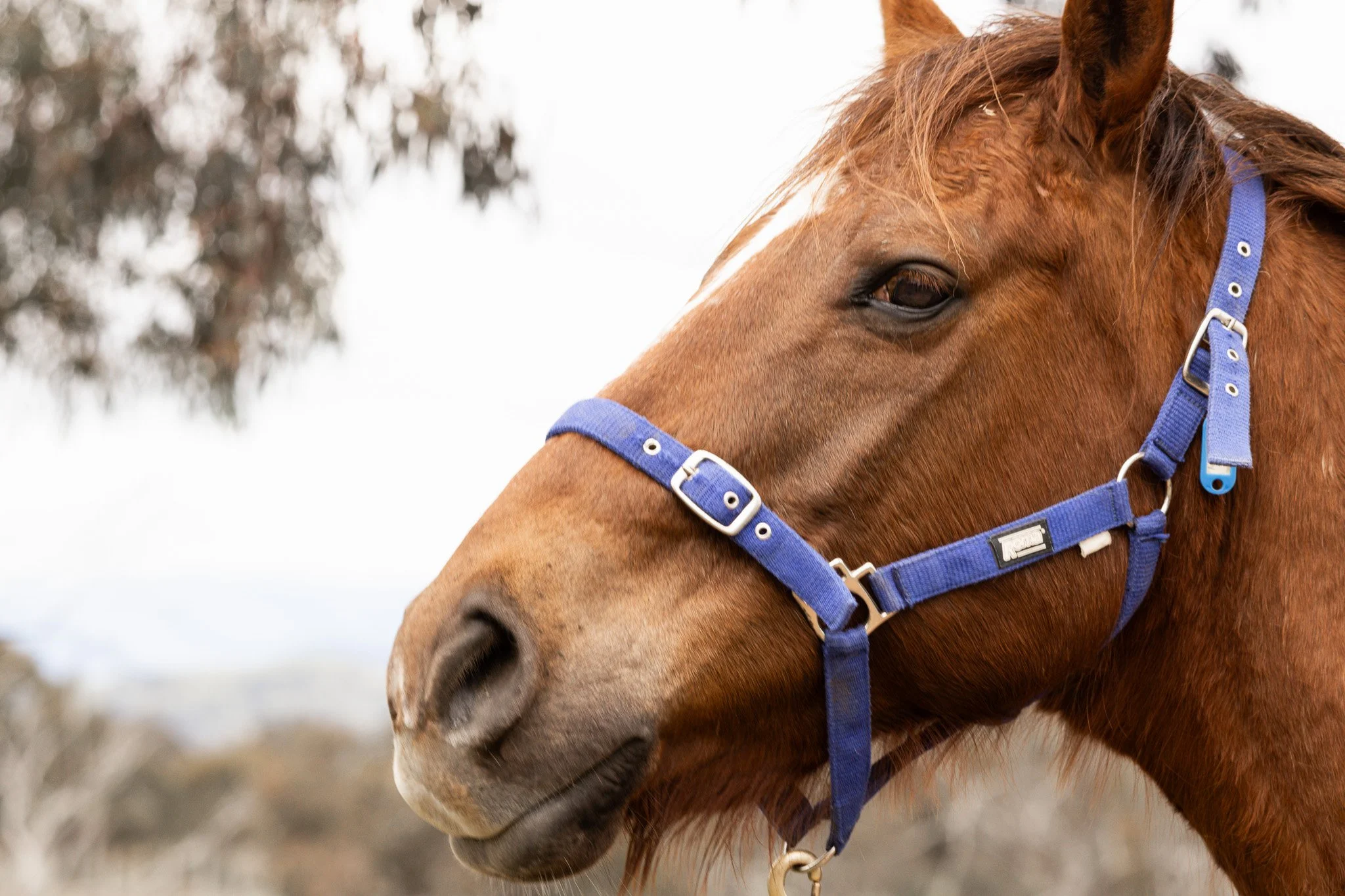 1D0A3738.jpg