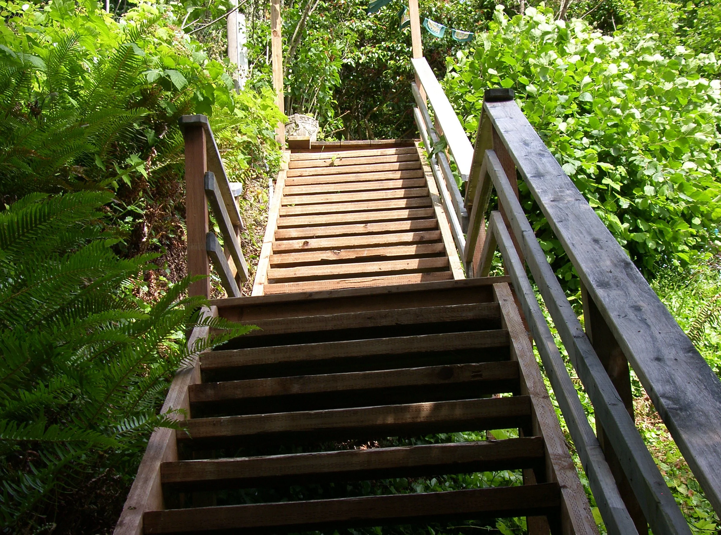 SH101600-001.JPG