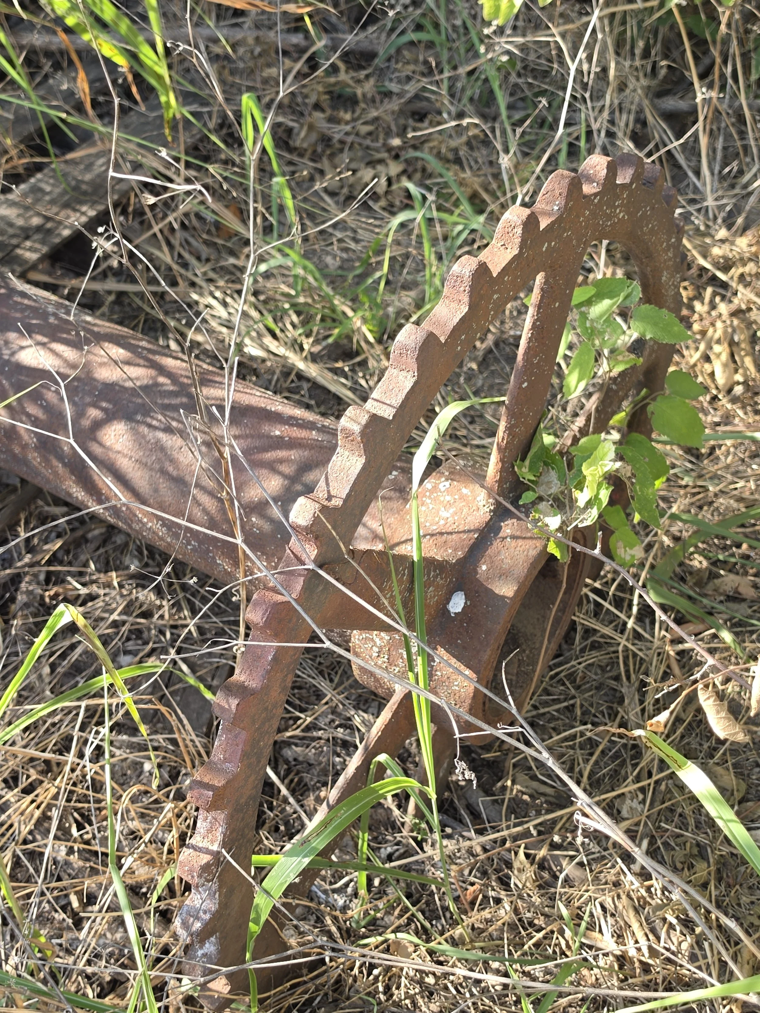 Cedar Point Mill artifact