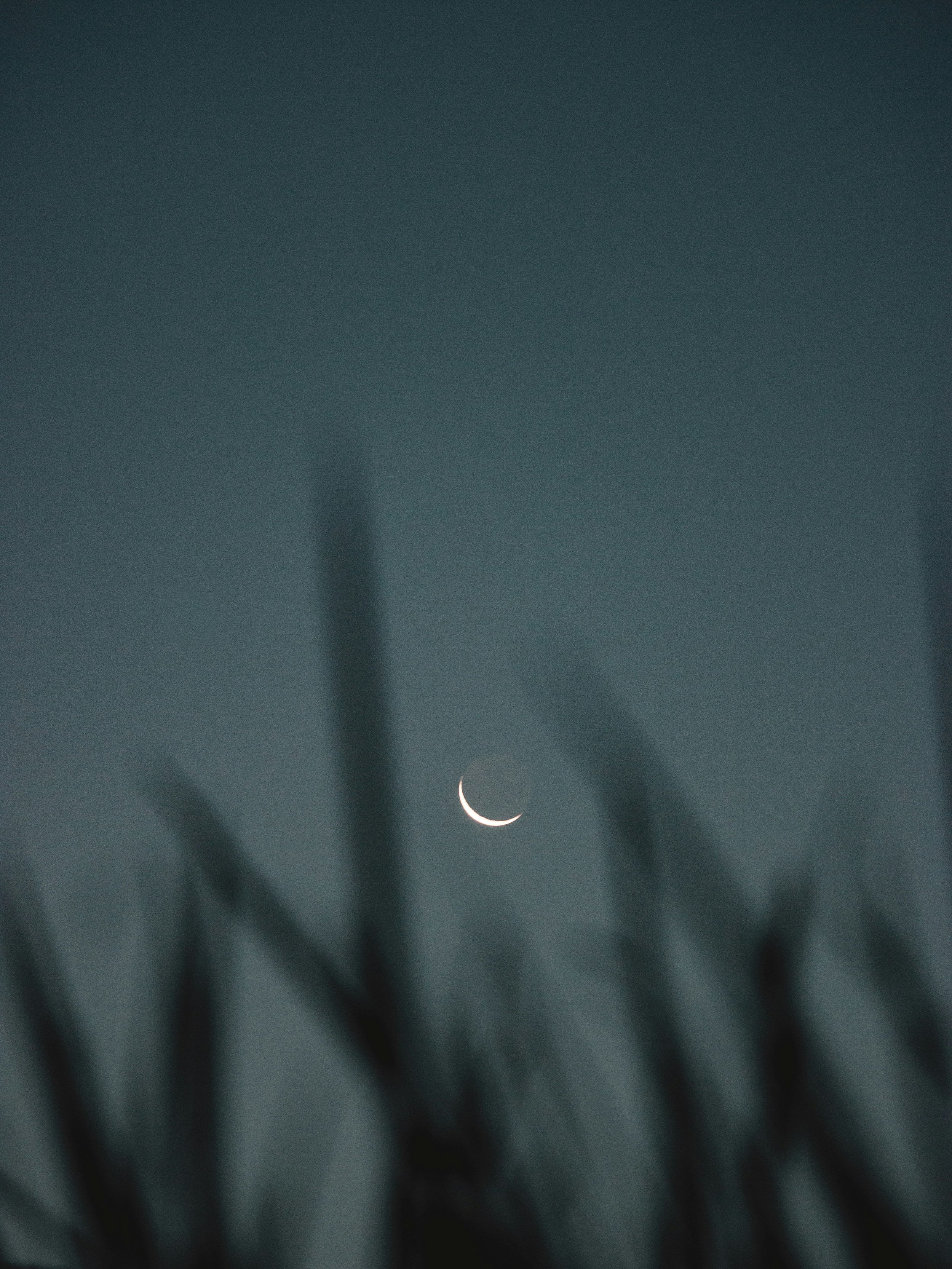 A thin crescent moon visible in a dark sky with clouds in the foreground.