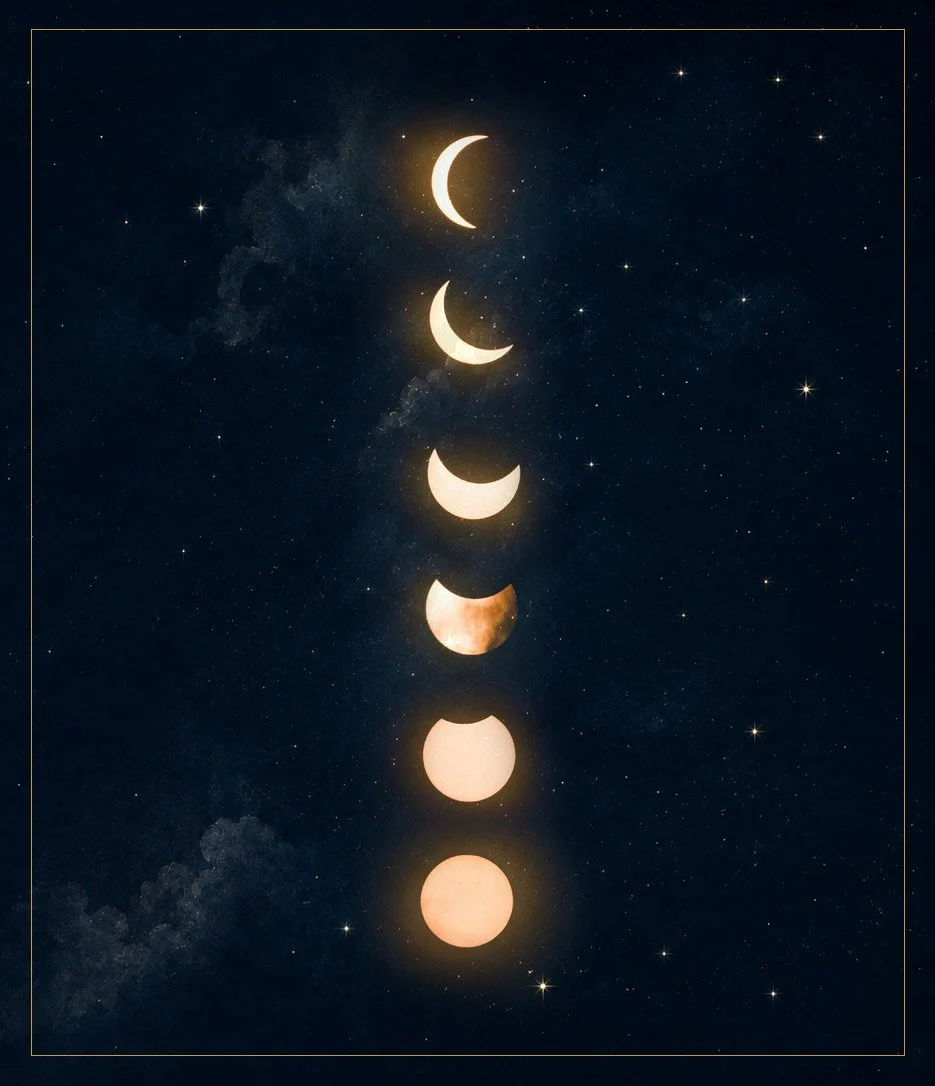 A series of photos showing the different phases of a lunar eclipse over a starry night sky.