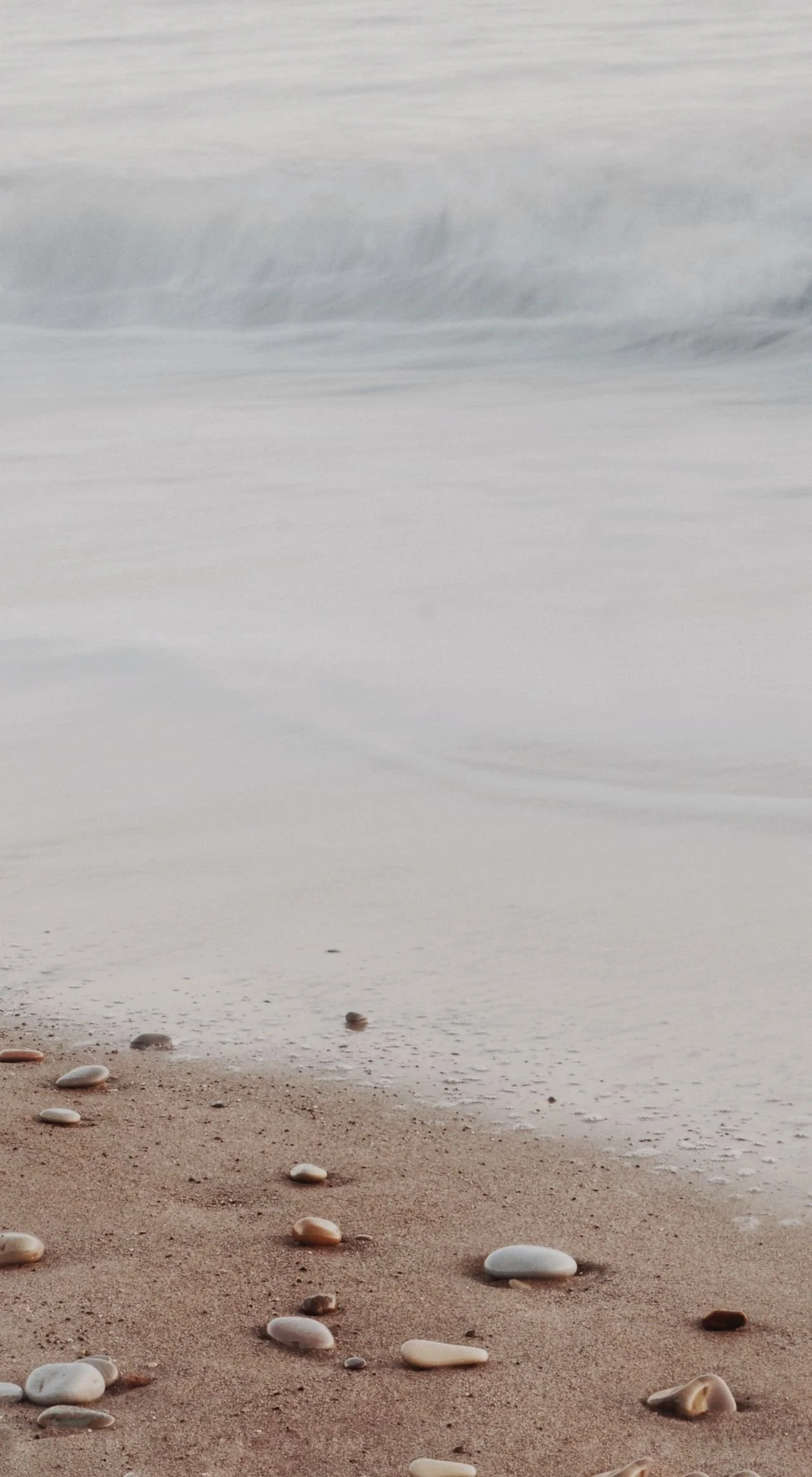 A sandy beach with scattered shells near the water's edge and calm ocean waves in the background.