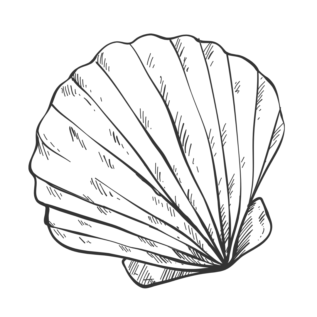 Line drawing of a seashell on a black background - Lynn Scott, EMDR therapist ontario CA