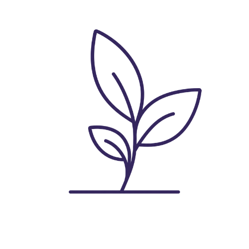 Simple line drawing of a small plant with three leaves on black background.