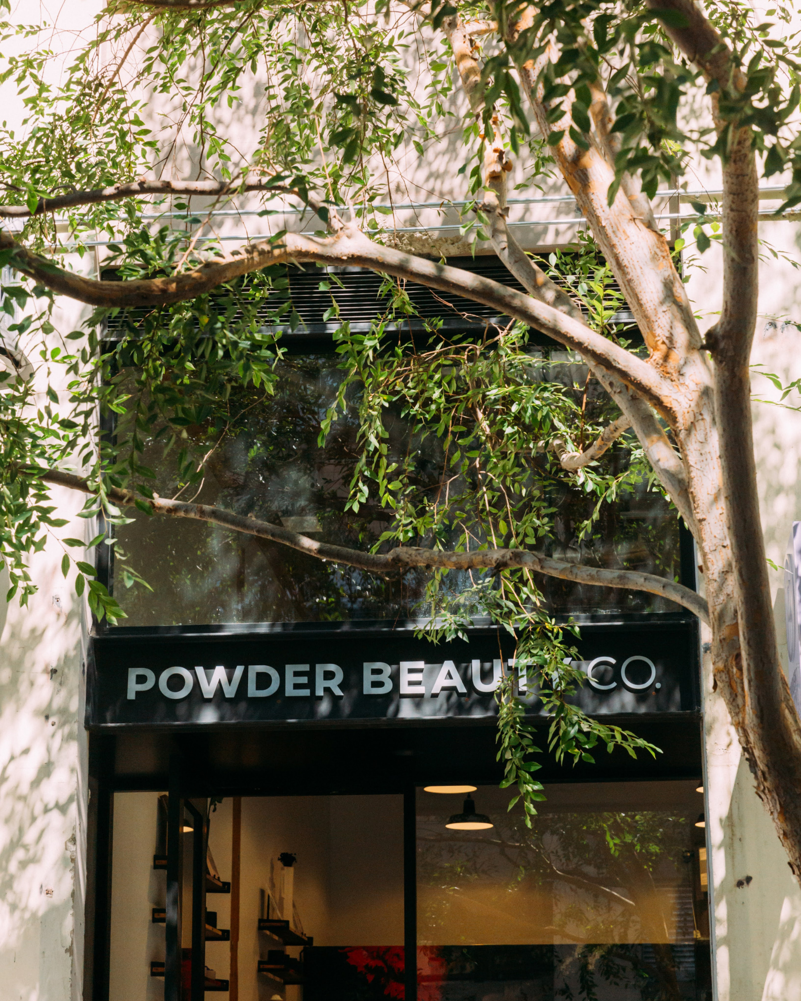 Storefront of Powder Beauty Co. with a tree in front, the store's sign visible. Inside, a staircase and some indoor decor are visible.
