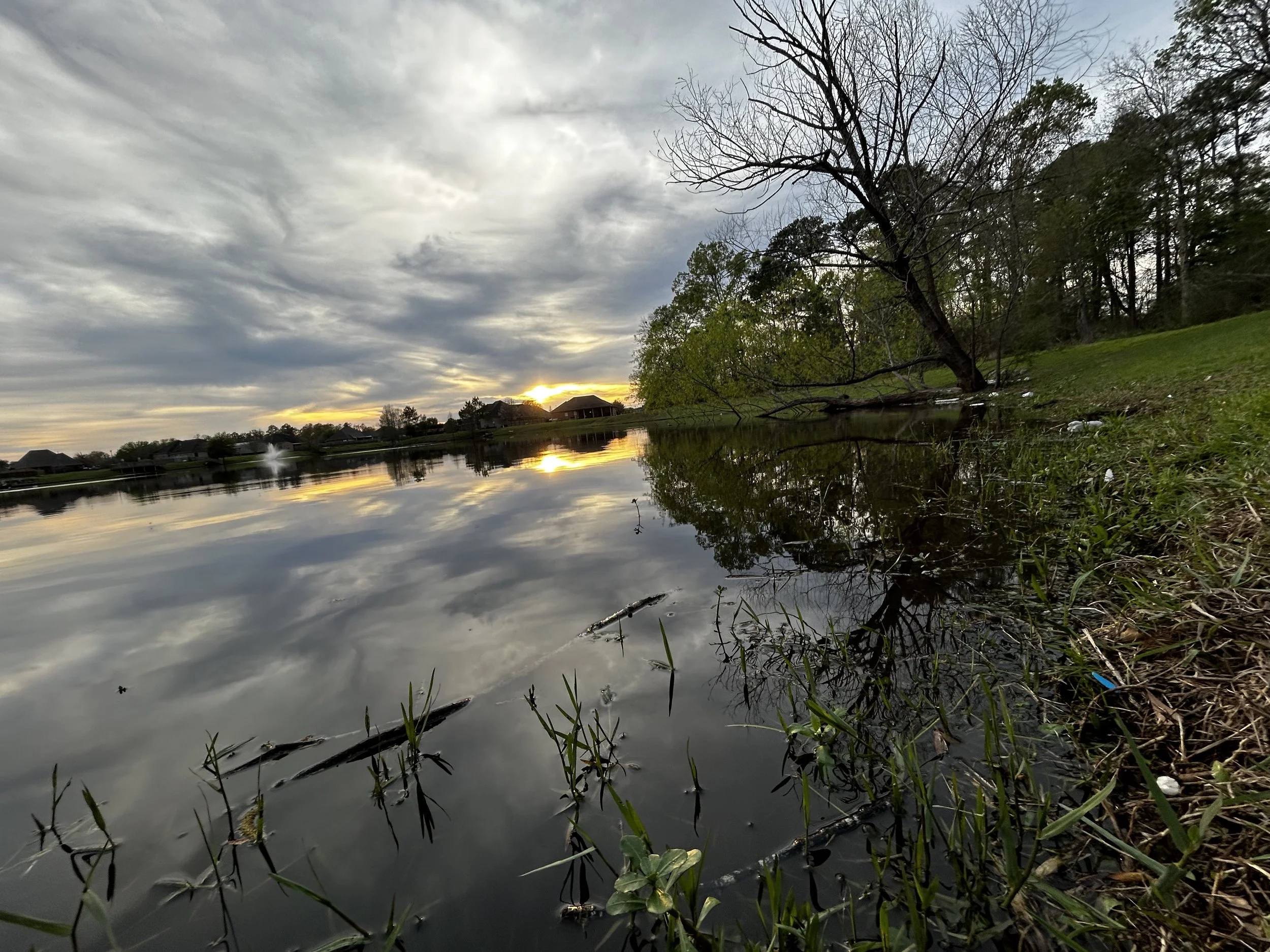 Where Memories Are Made - Louisiana