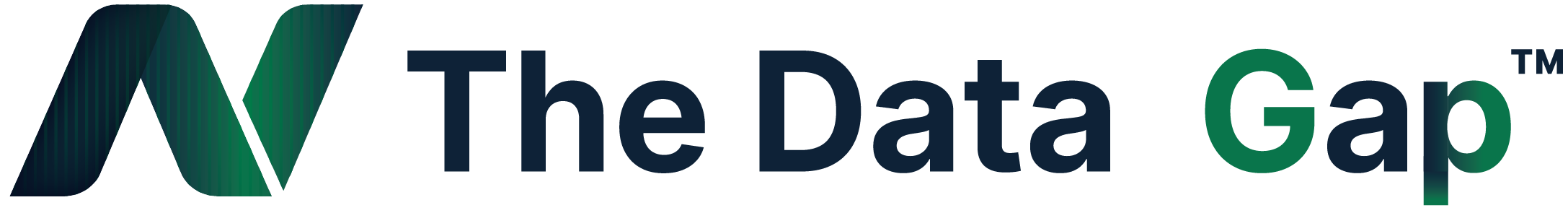 Primary Brand Logo of The Data Gap™