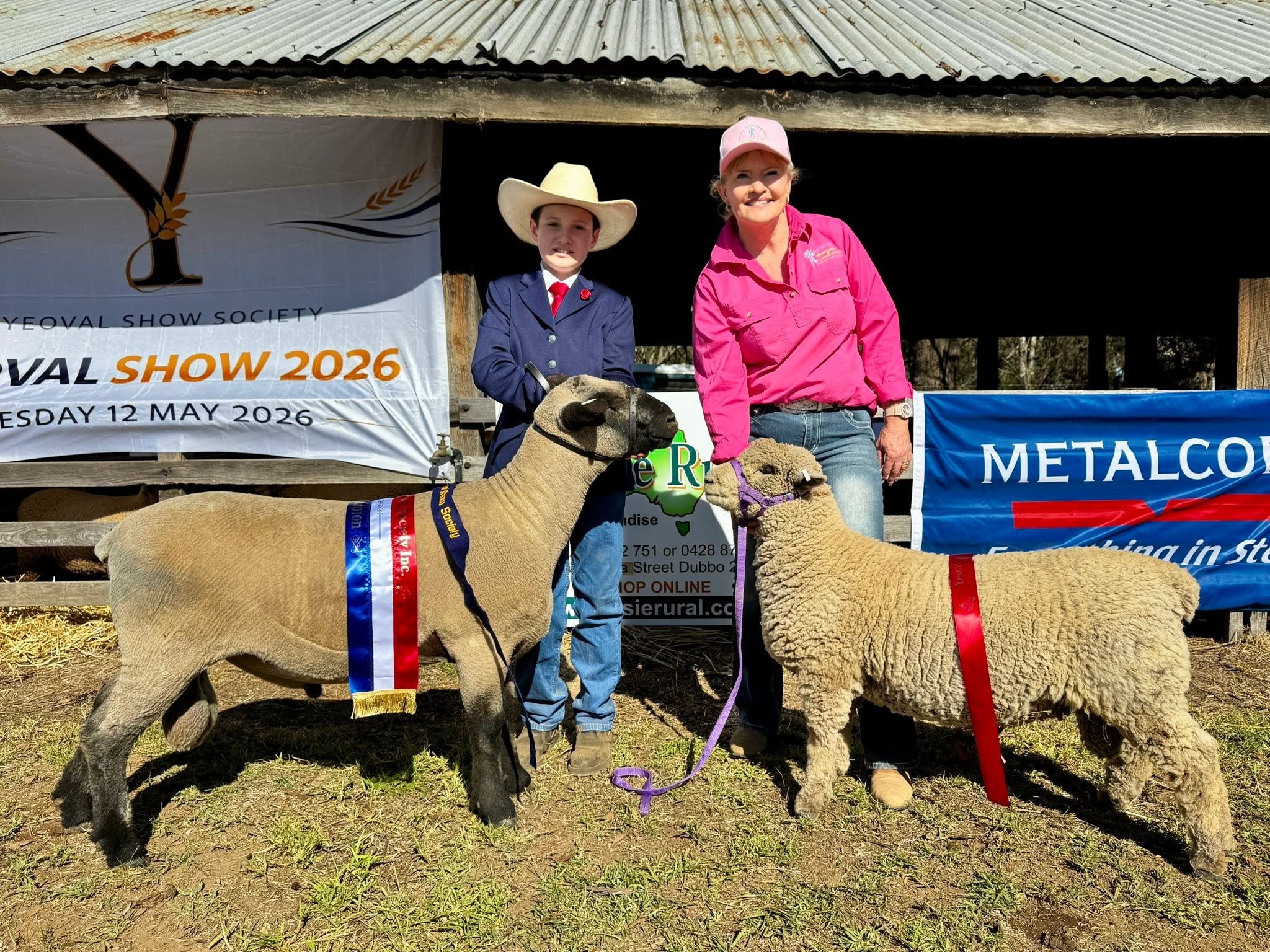 First time showing Mimjack stud sheep, at Yeoval, Wellington show