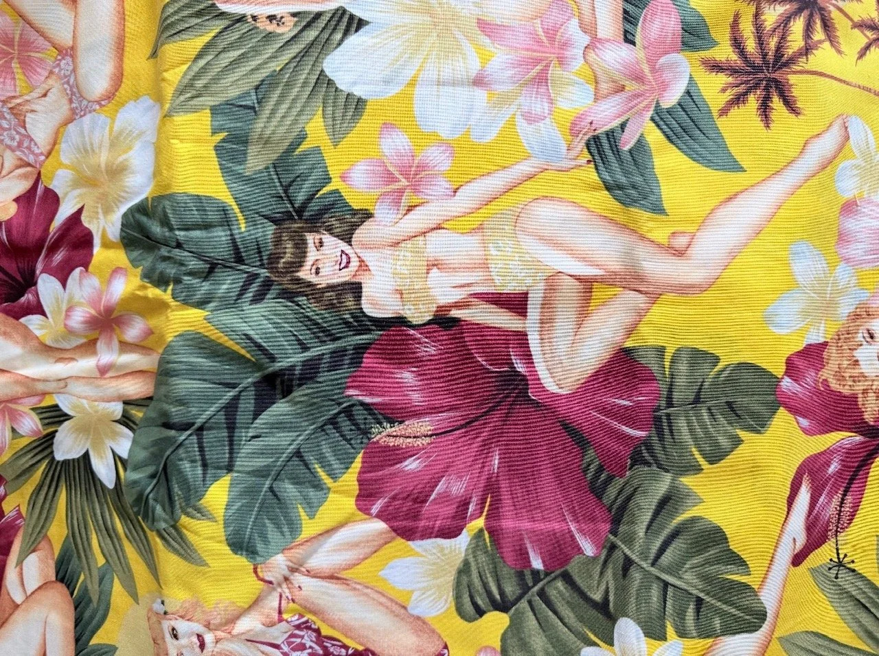 image4.jpeg