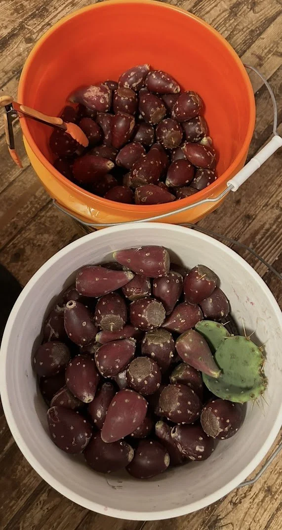 IMG_1930.jpg