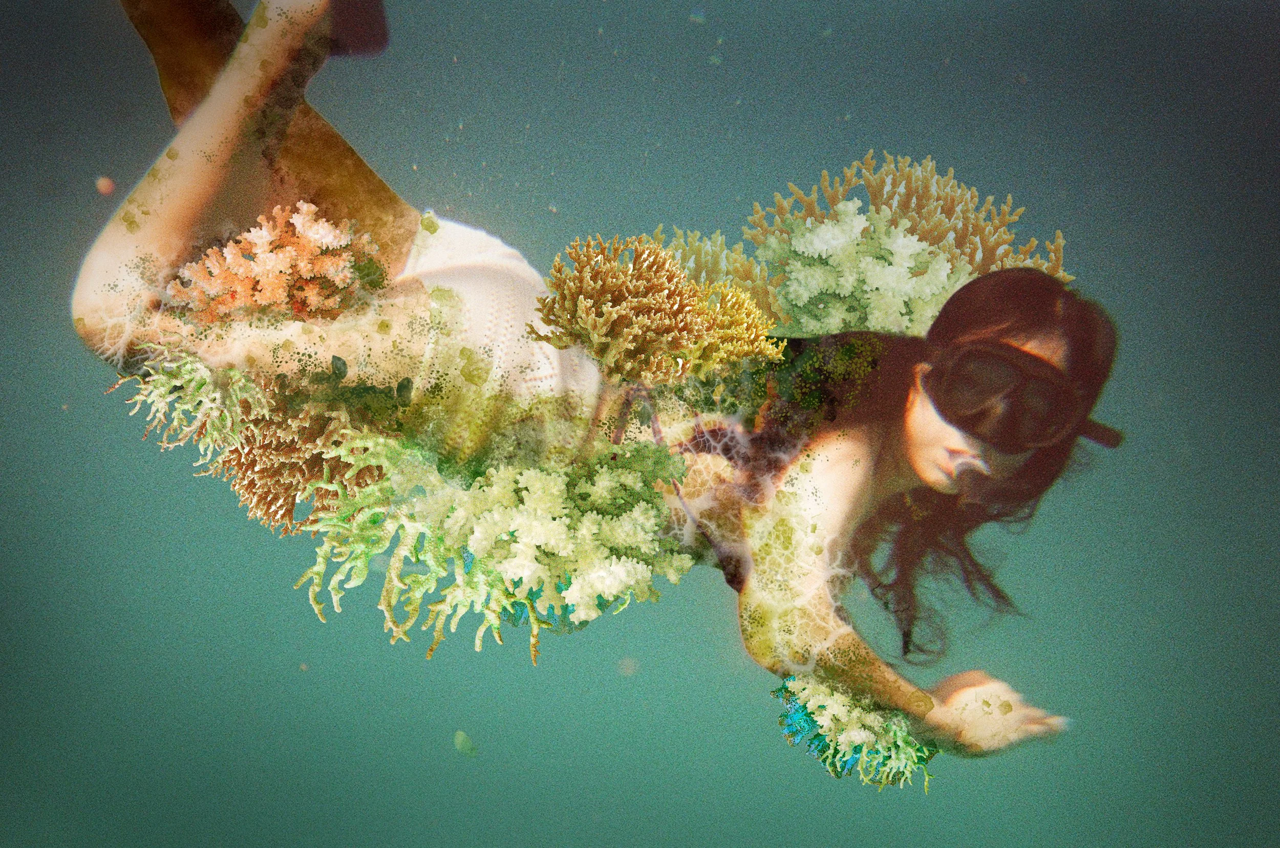 16. Im Seoyoung - Where the Reef Becomes Skin.jpg