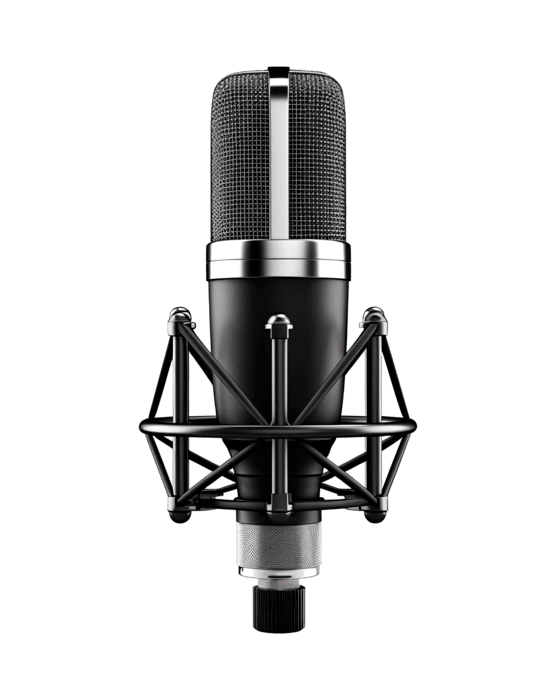 A professional studio condenser microphone with a black body and silver accents, mounted on a shock mount.