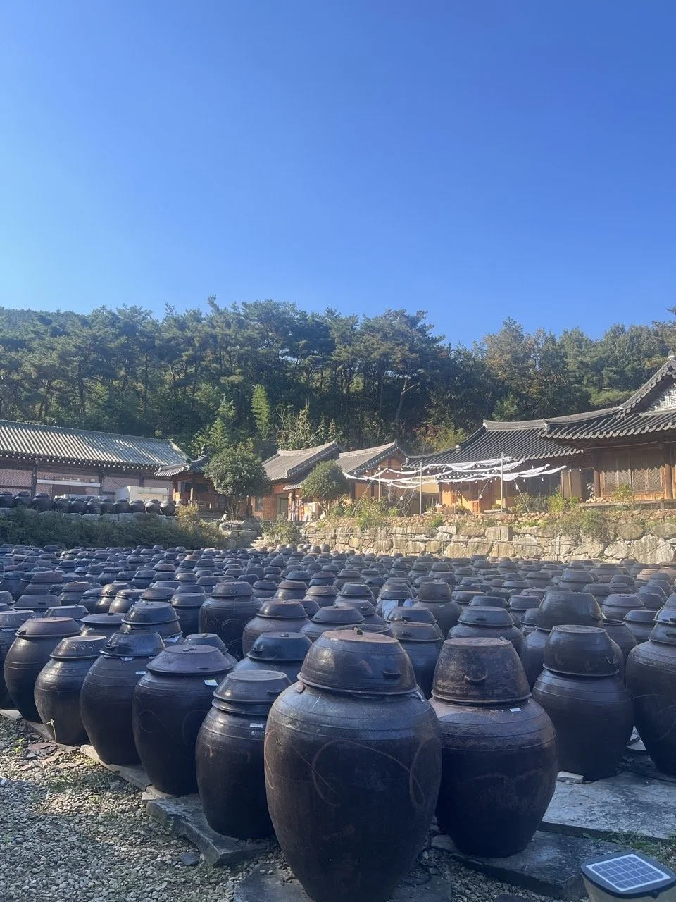 기순도 명인 장고지 방문 3.jpg