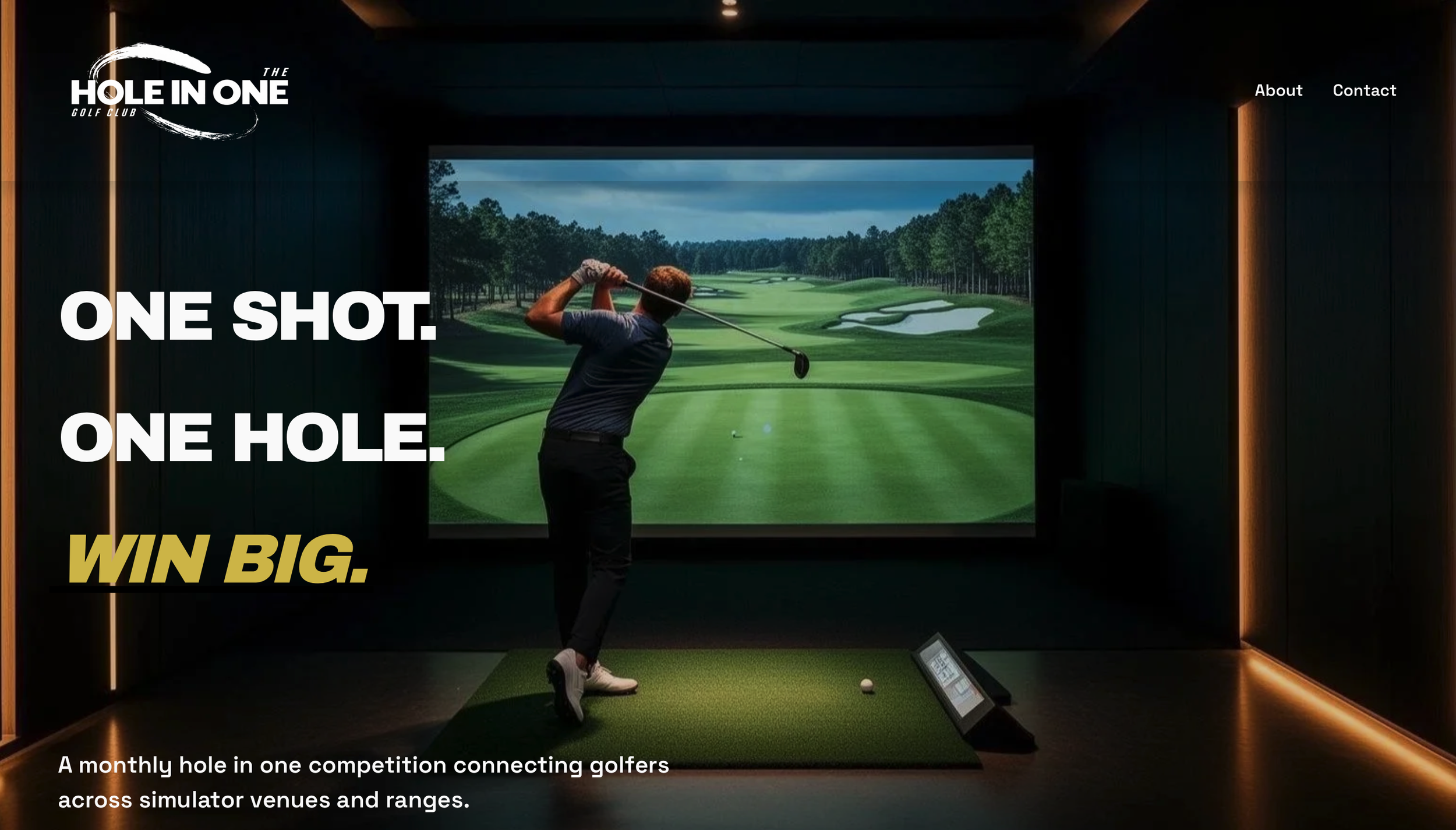 The Hole In One Golf Club website designed by Design by Rich