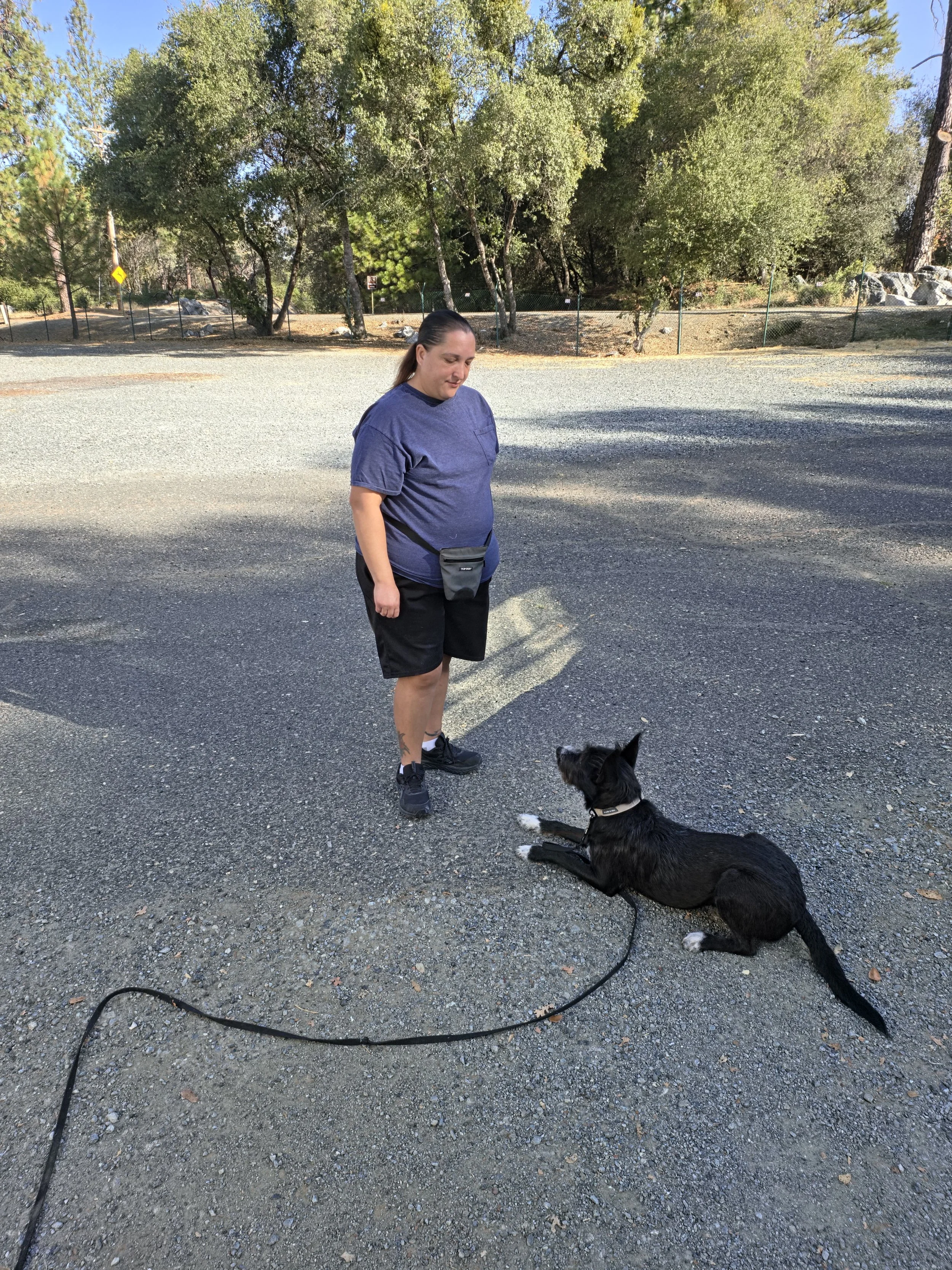 A woman with long brown hair, wearing a blue t-shirt and black shorts, standing outdoors on a gravel surface while looking down at a black and white dog laying on the ground in front of her. The dog has a harness and a leash, and is sitting with its front legs extended. Behind them is a chain-link fence, trees, and rocks, with clear skies overhead.