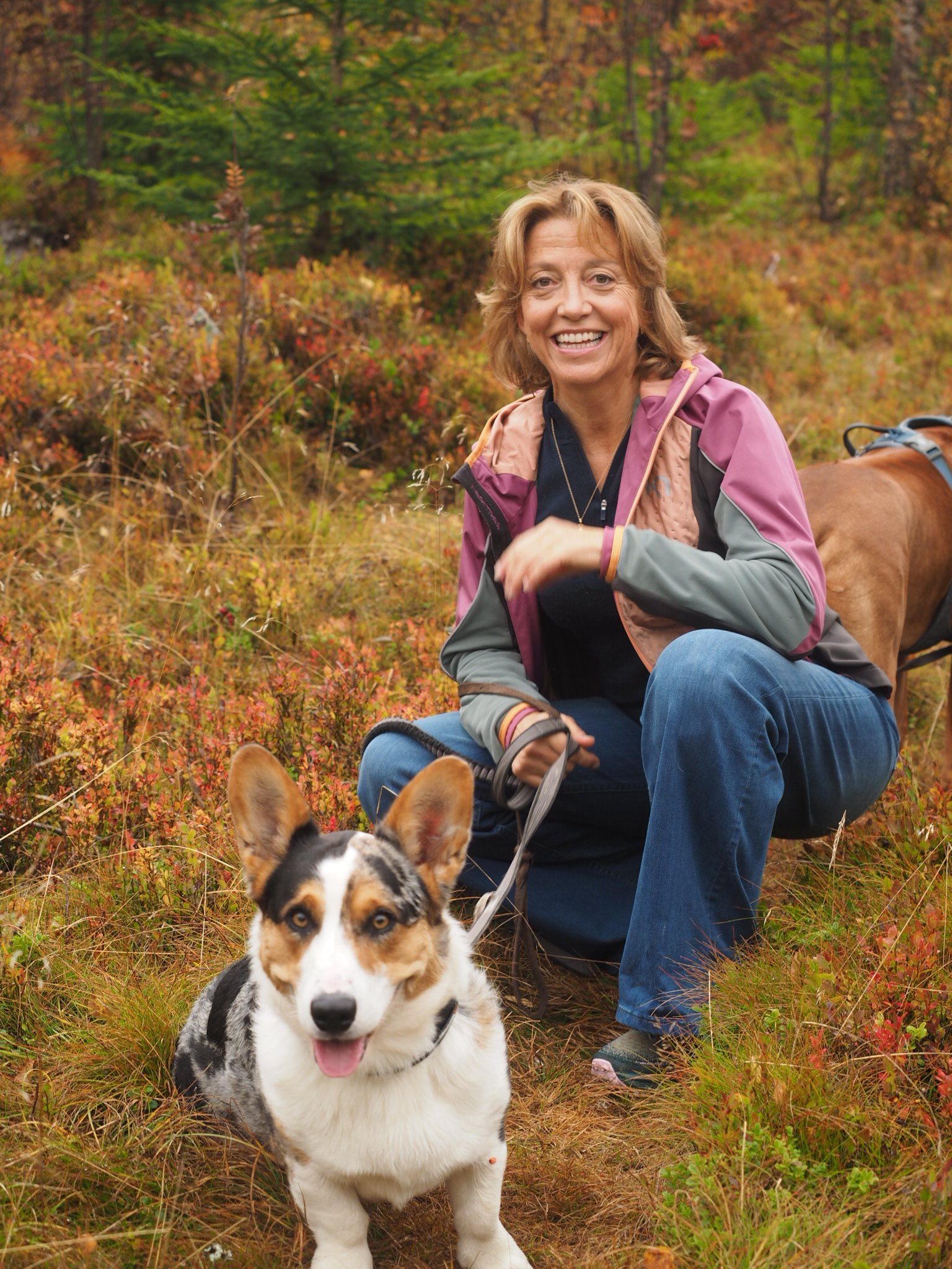 En smilende kvinne i utendørs høstlandskap med hunder, omgitt av høstfargede blader og trær. Hamar Hundeskole og Hamar hundedagis og Hamar Hundebarnehage.
