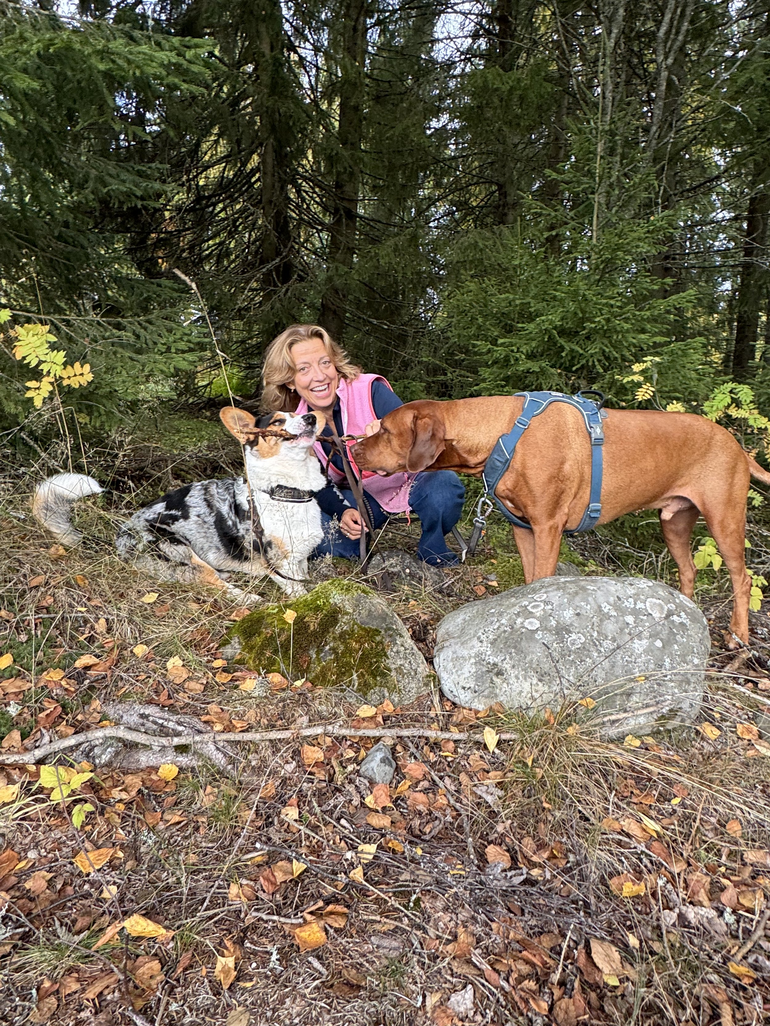 En kvinne som smiler og har to hunder i en skog med høstløv på bakken og høye trær i bakgrunnen.