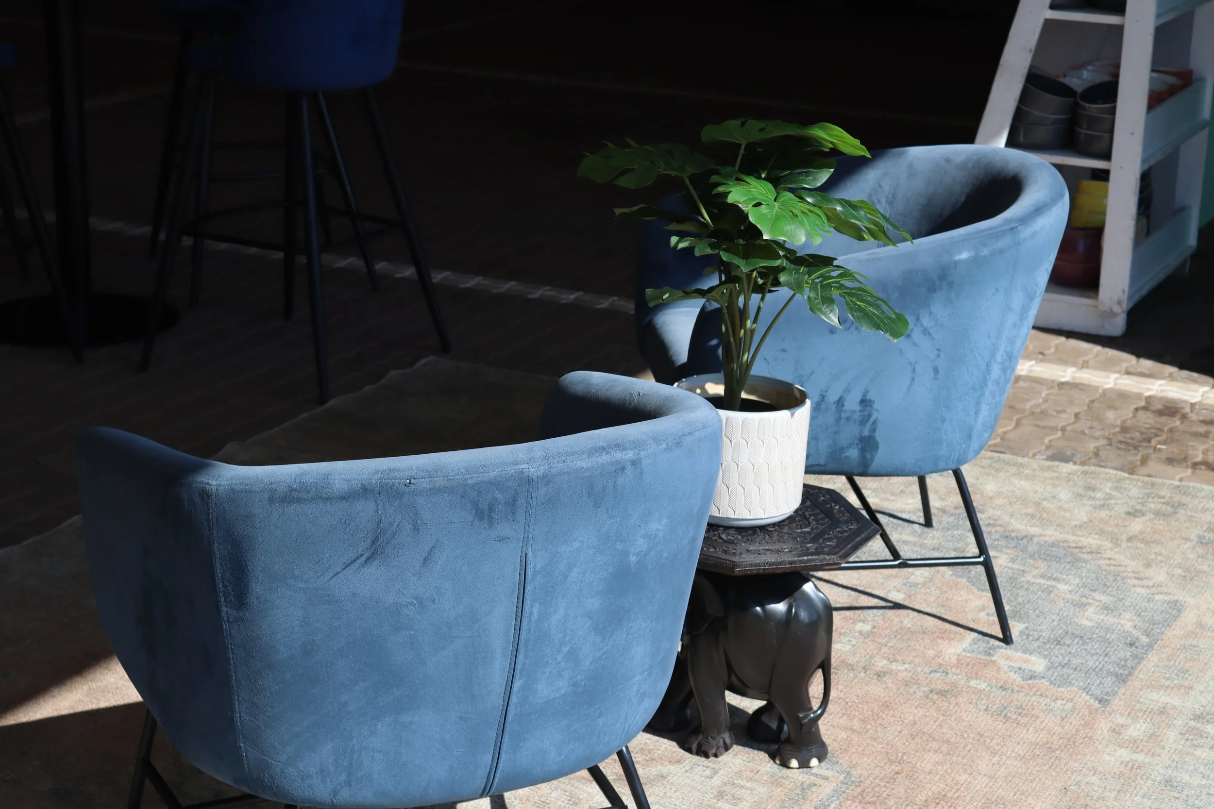 Indoor scene with two blue velvet armchairs, a potted plant with large green leaves between them, and a black decorative sculpture underneath one of the chairs. In the background, there is a white shelving unit with various items, and tall bar stools