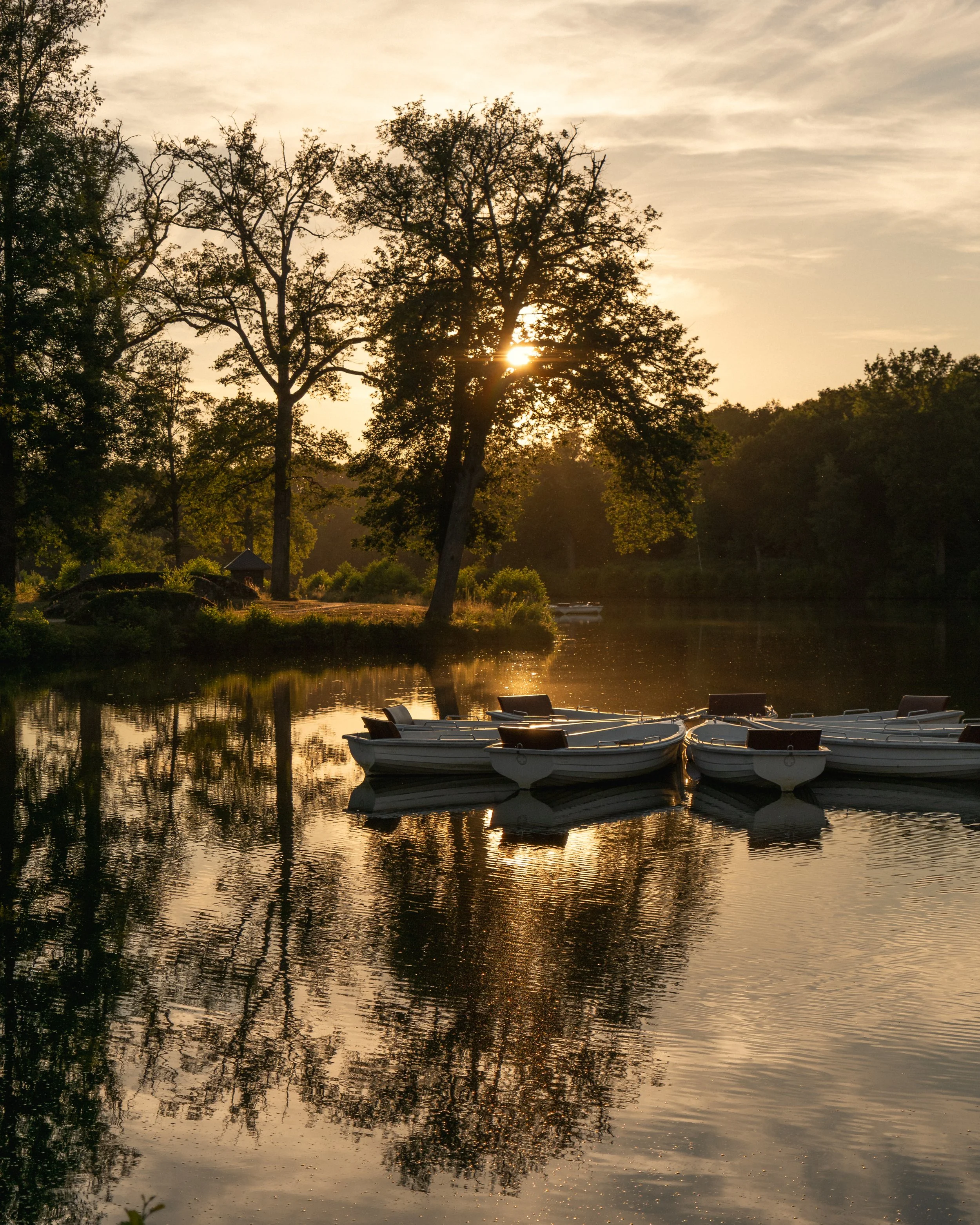 Sunset over a lake with trees and birds in the background, with several boats moored on the water.