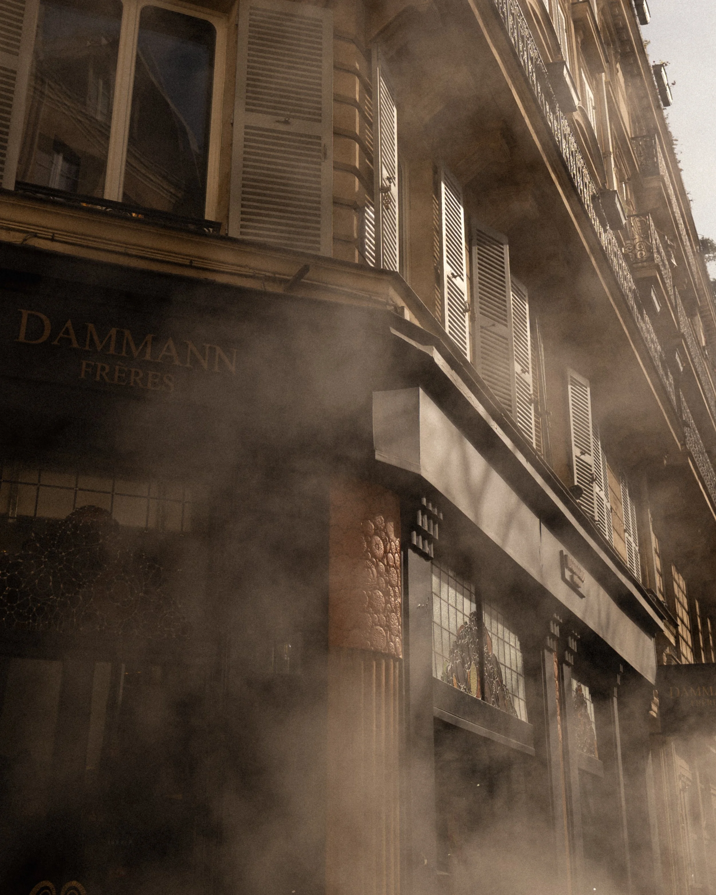 Multi-story building with balconies and shutters, a faint mist or fog in the air, and a sign with gold lettering that reads 'Dammann Freres'.