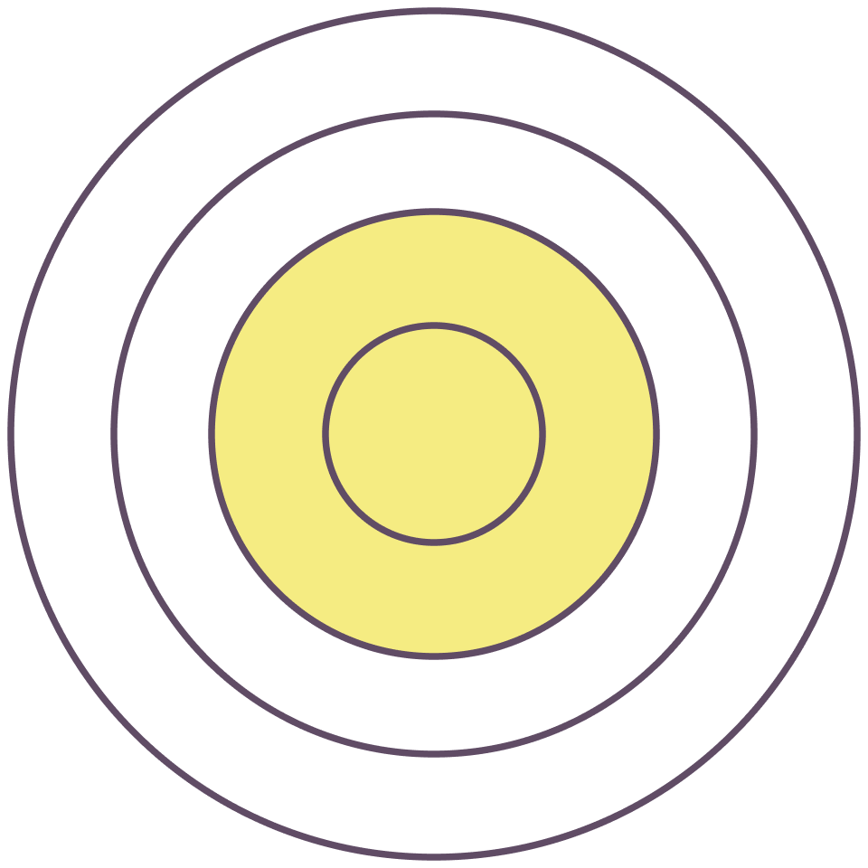 A target with yellow and black concentric rings.