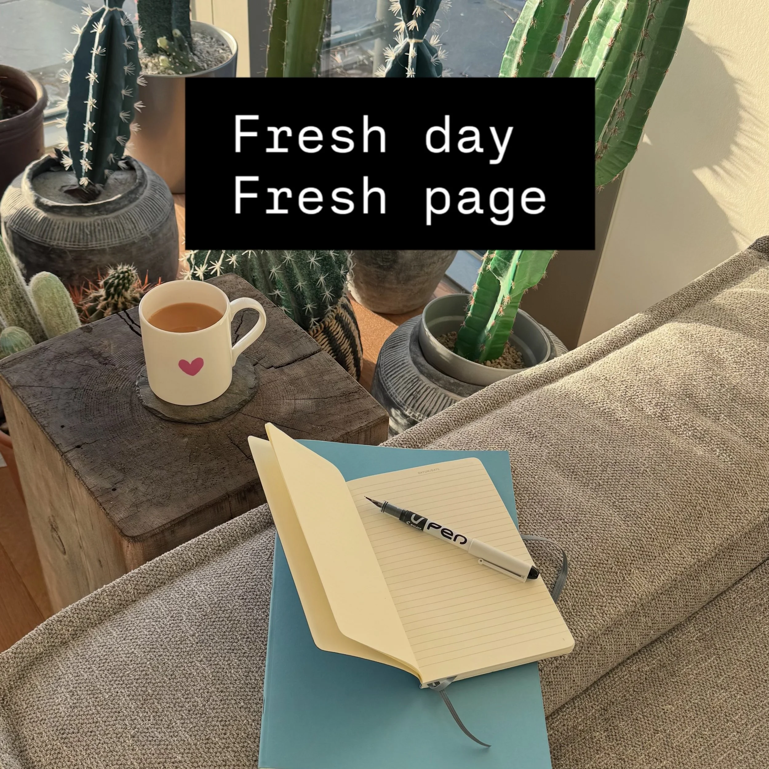 Fresh day. Fresh page. 

A little space to slow down, get beneath the noise and discover what really matters.

All you need is a notebook and five minutes of your day. 

#MindfulJournaling #SlowDown #SelfDiscovery #Mindfulness #SaltwaterWorkshops